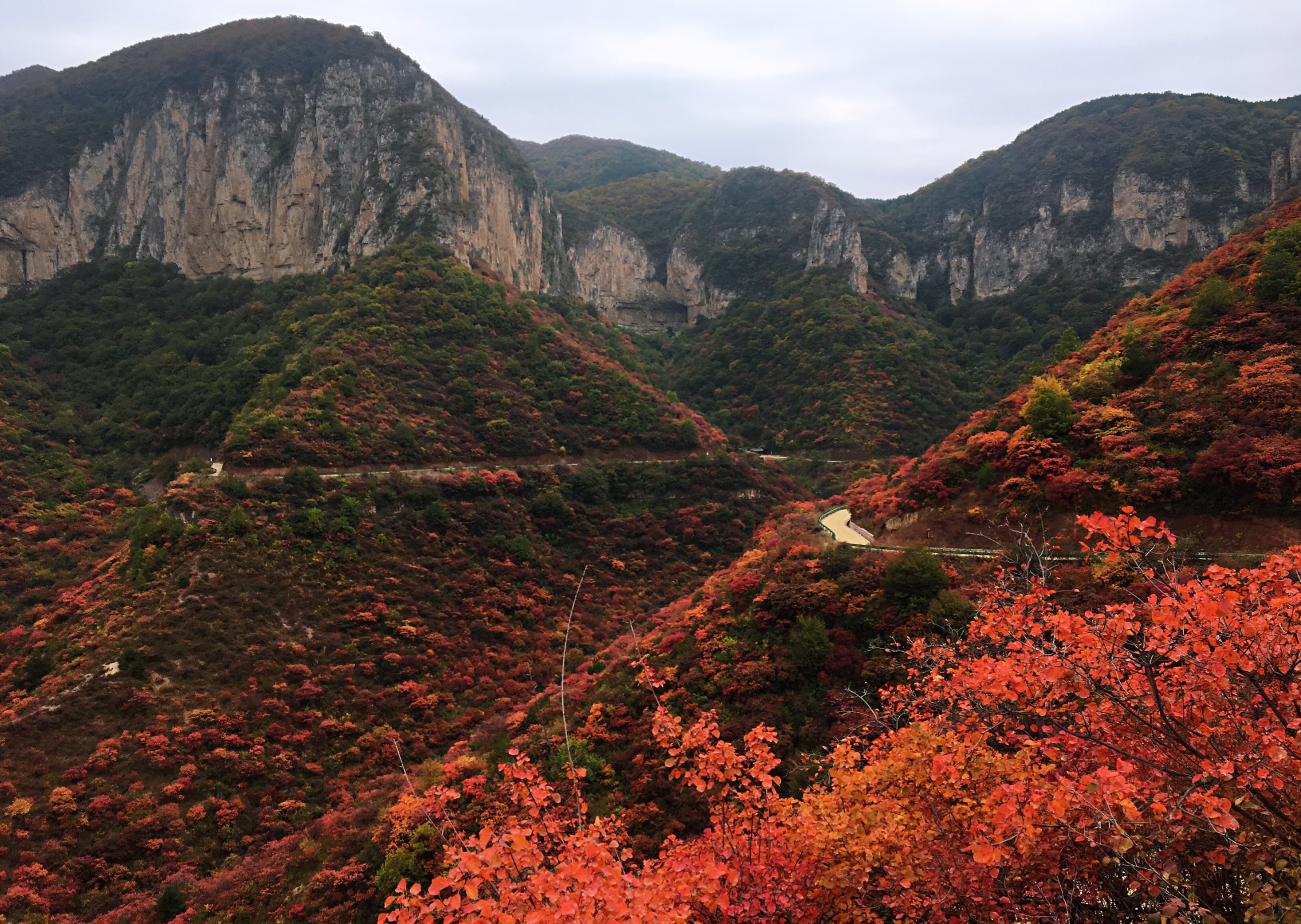 山西哪里可以看红叶？来黎城四方山看秋色