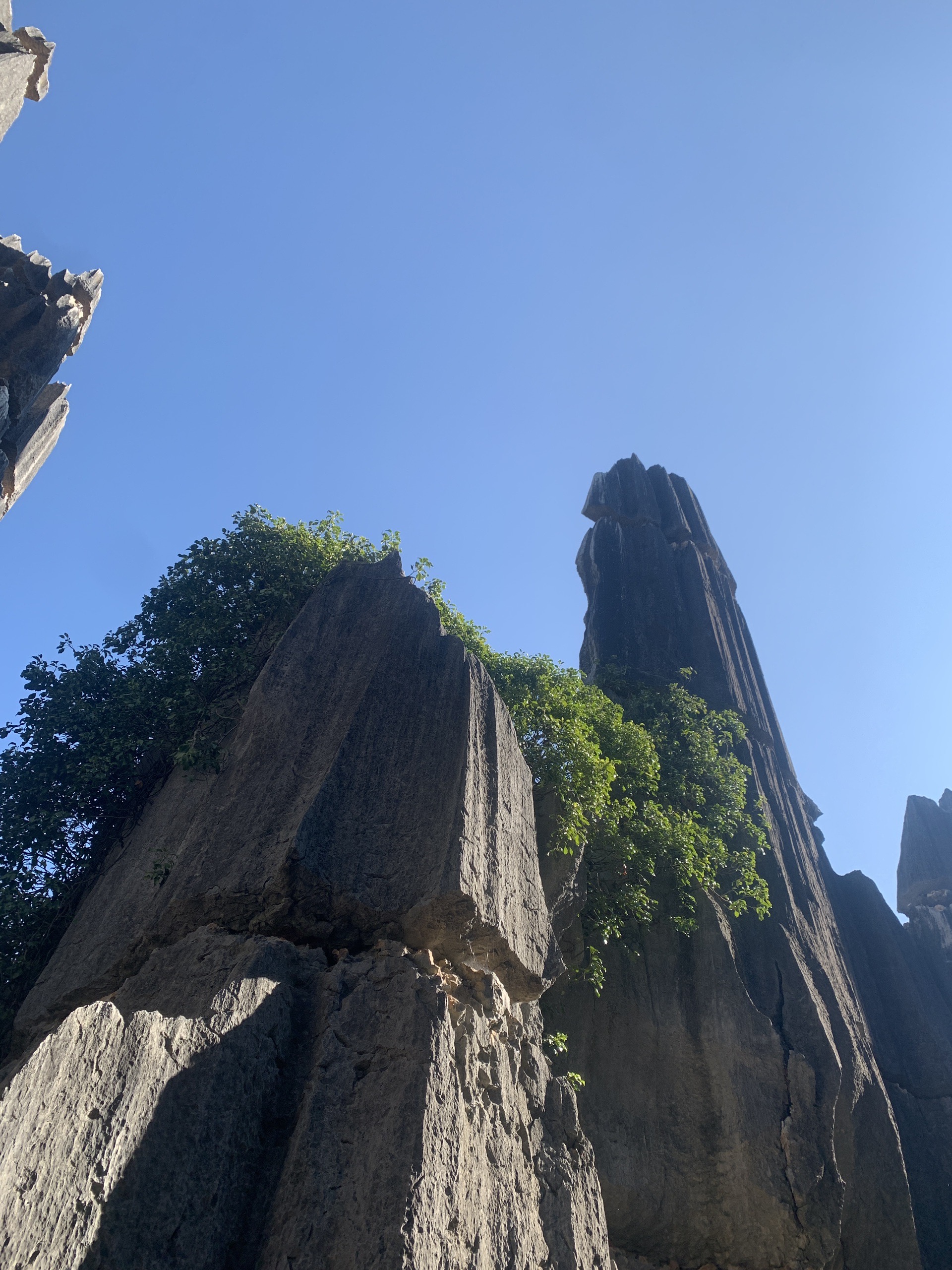 云南石林——大地雕塑的奇妙世界|云南石林地质公园