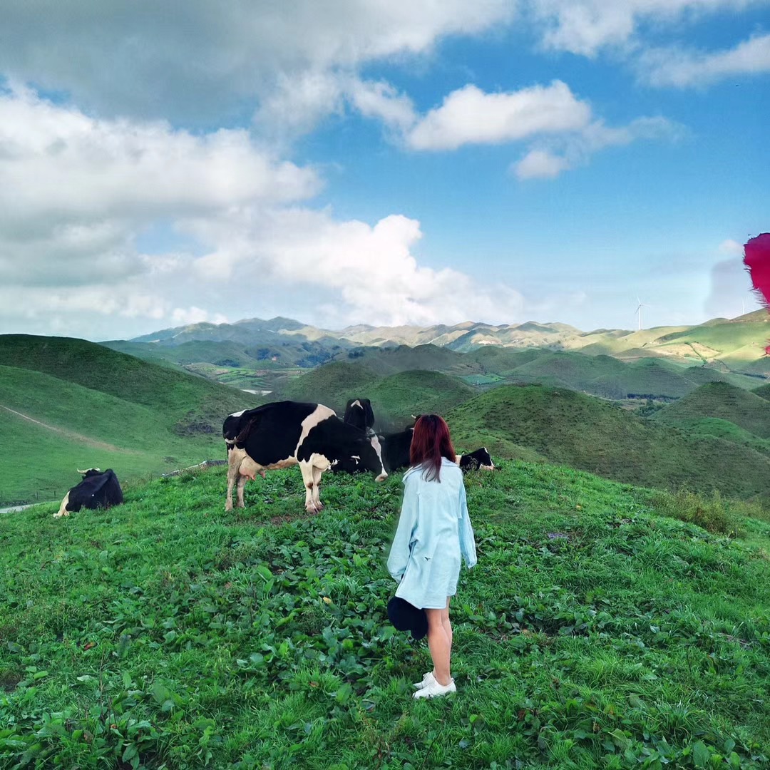 【小众景点】“中国的新西兰”之称的南山牧场