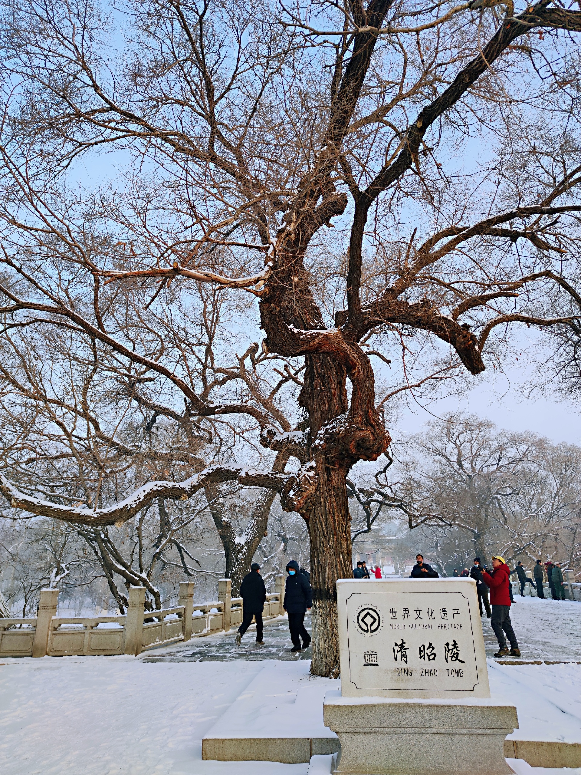 2021年1月26日沈阳北陵公园，雪后景色图片