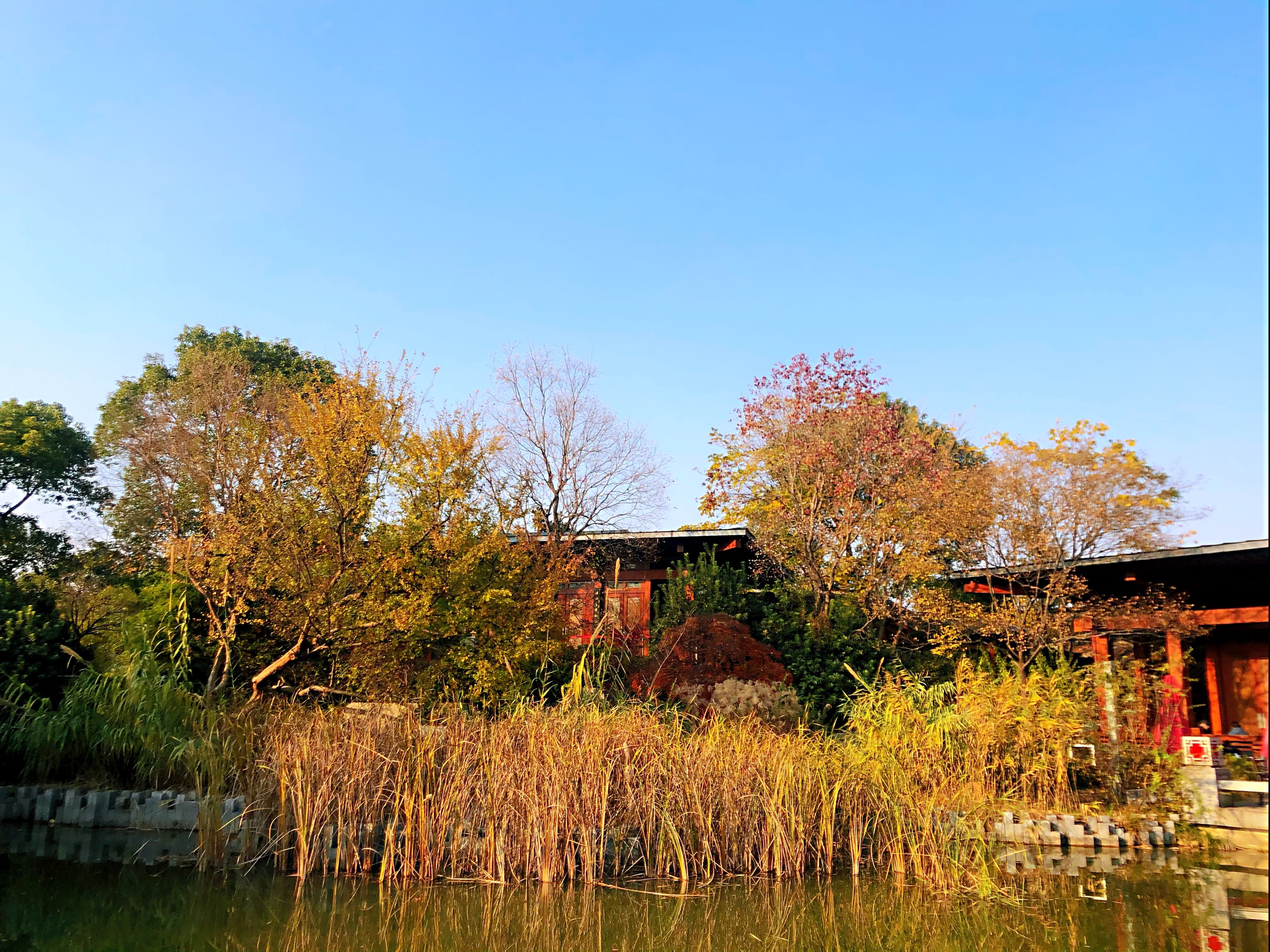 世博滨江大道边值得推荐的一个景点-上海亩中山水园