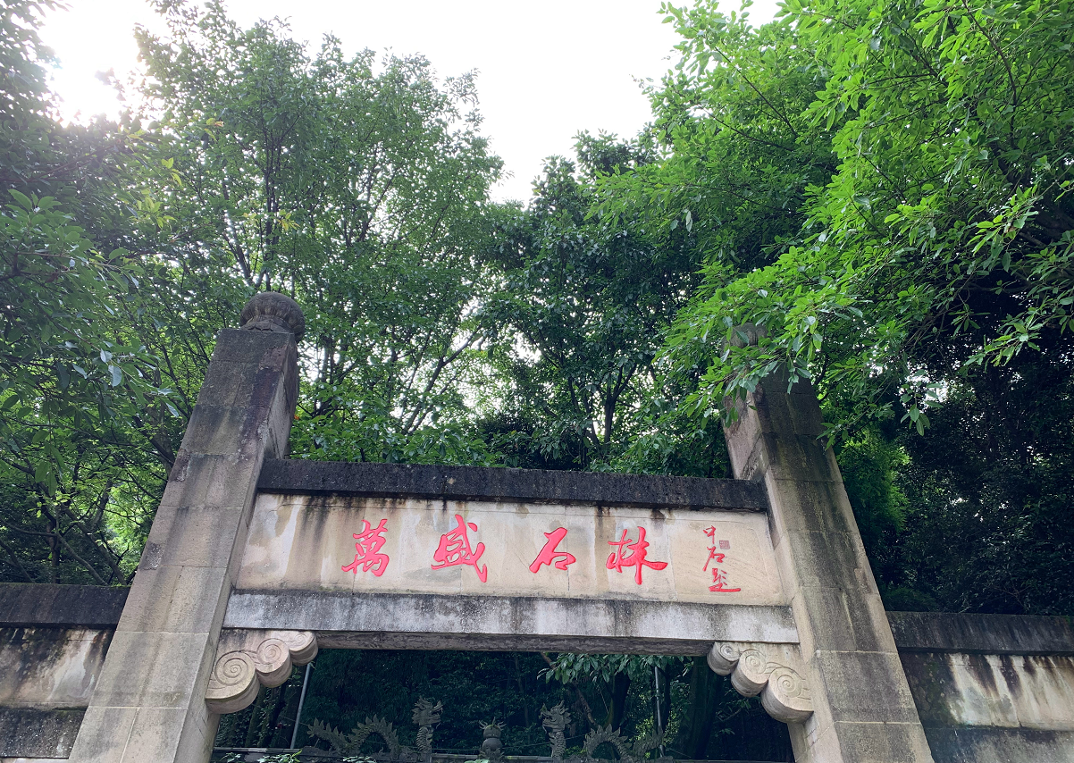 中国最古老的石林，重庆万盛石林