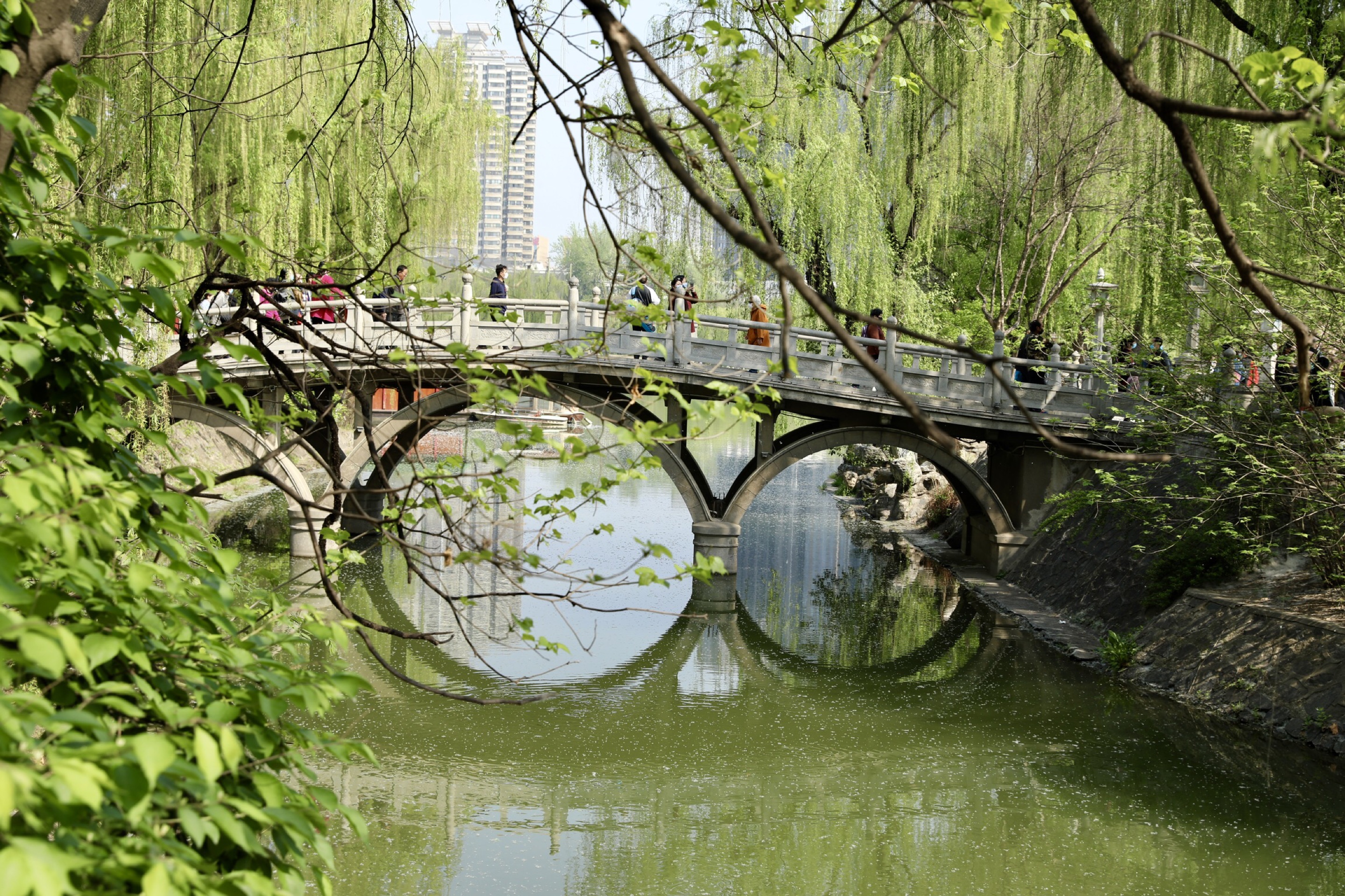 春游兴庆宫-这里的春天景色怡人，公园里每天都热闹非凡
