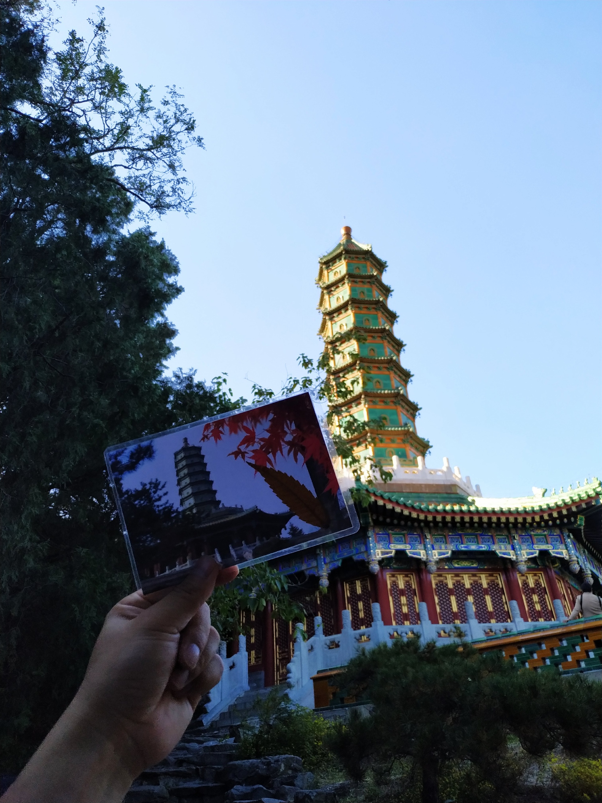 北京周边游！周末短游北京香山公园