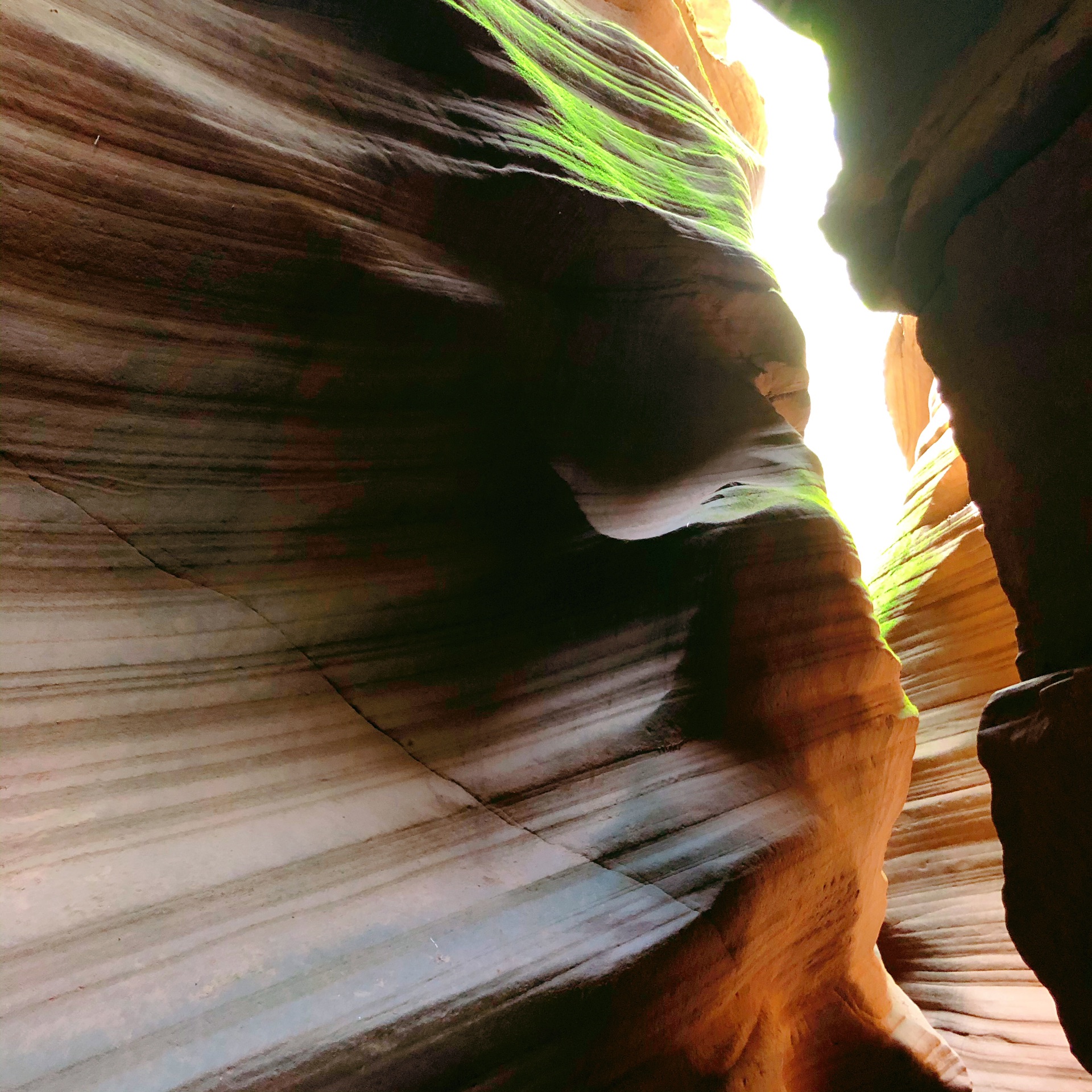 随拍系列大自然的鬼斧神工描绘出千沟万壑-雨岔大峡谷