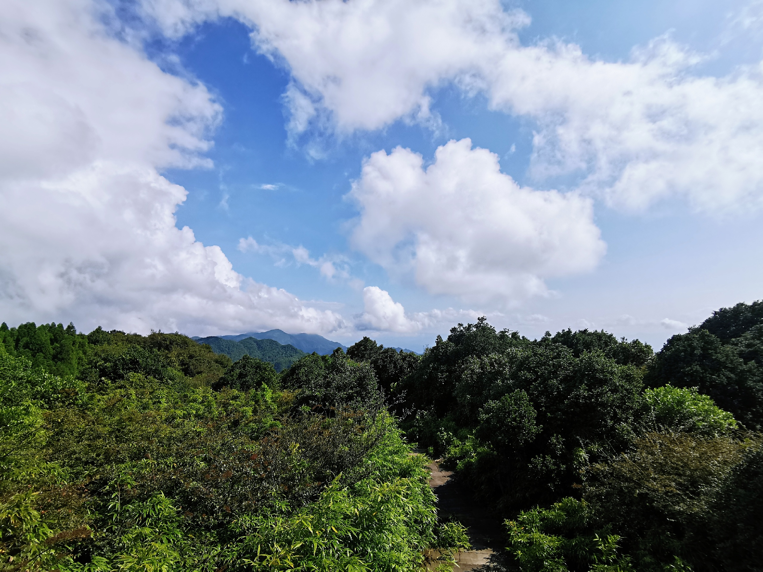 重庆涪陵武陵山国家森林公园_2020最新武陵山国家森林公园游记