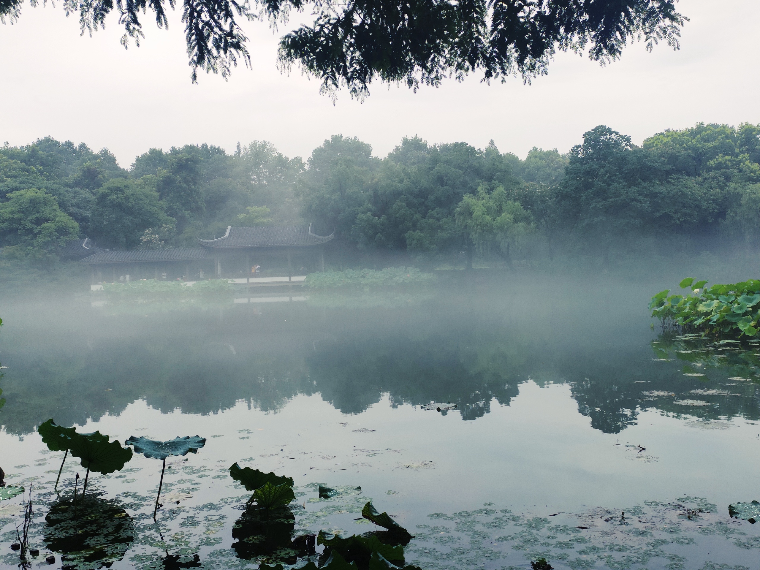 烟雨江南_2020最新游杭州西湖发现了意料之外的美景