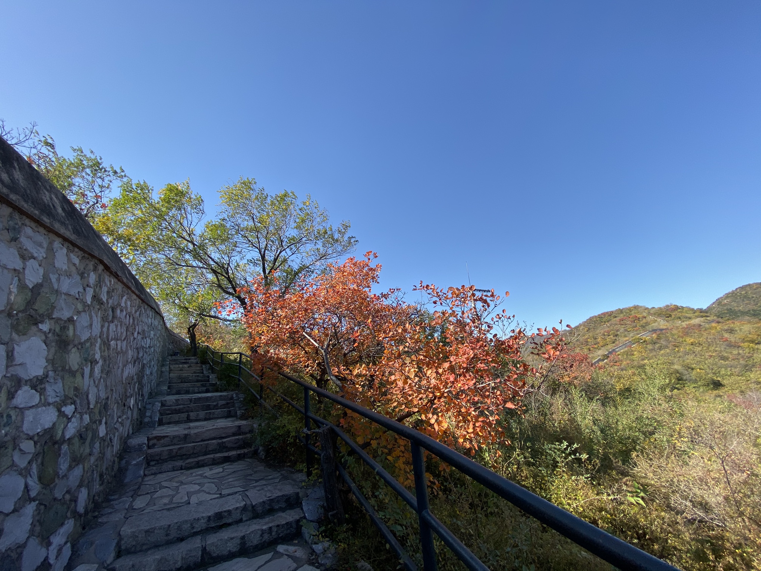 香山公园的名气已经大过它的美了 每年秋天前往香山观赏的人络绎不绝