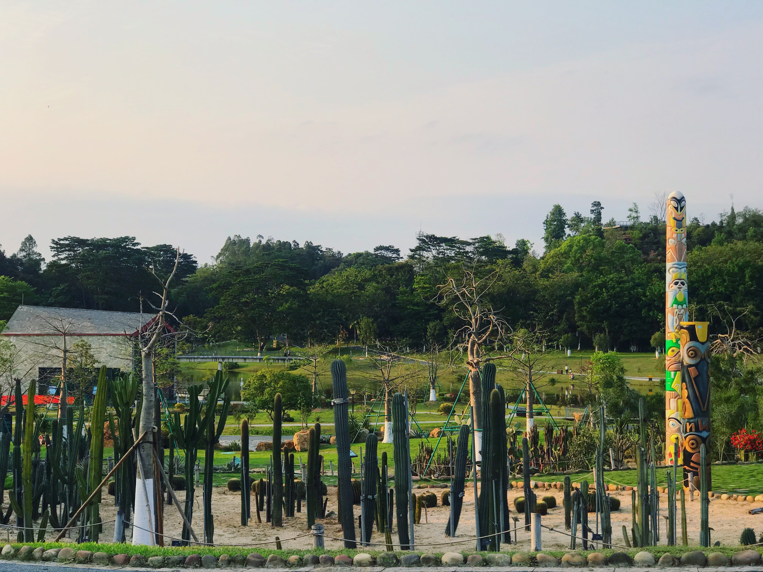 东莞植物园野营、拍照圣地、植物宝库