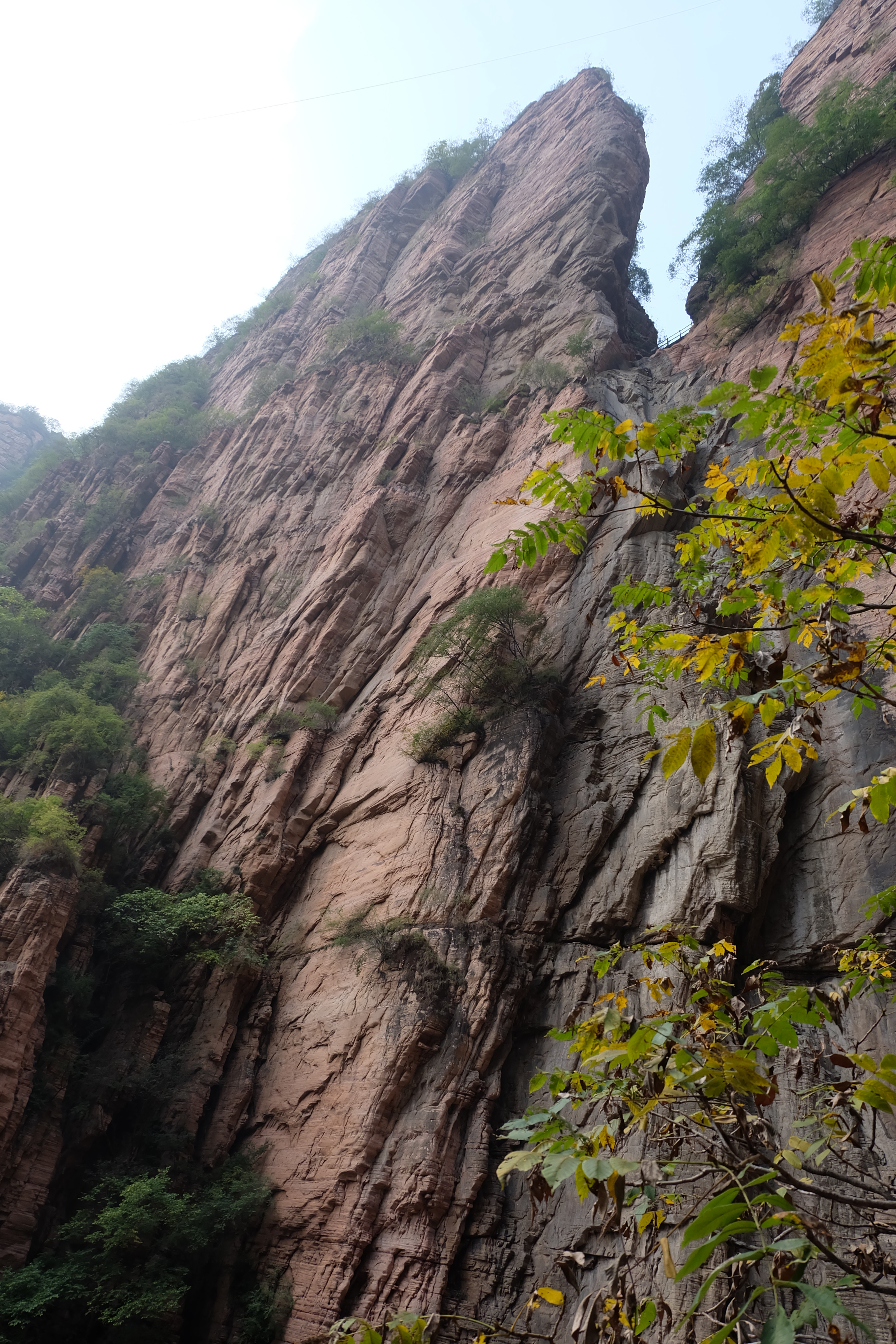 大峡谷值得一去的，坐缆车上去的，觉得真的还挺陡的，10月份的山很绿