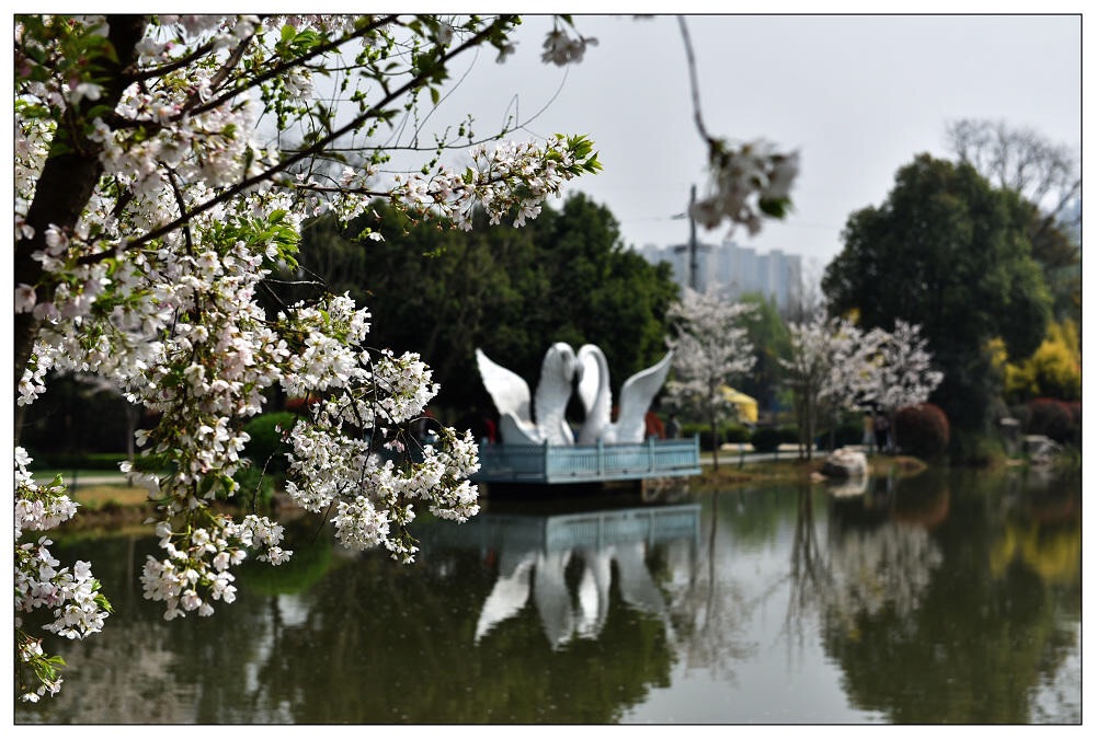 重庆网红景点｜成都开车1h，在漫花庄园仅需60就能拍照一整天
