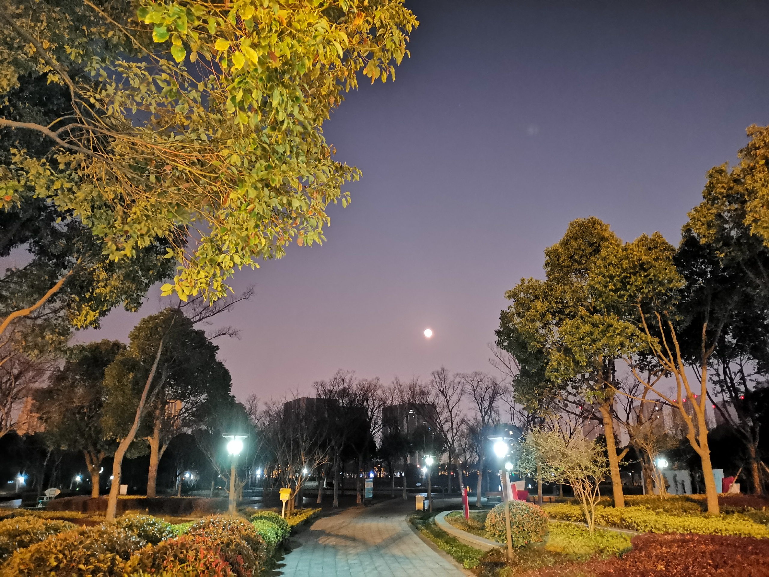 银翔湖公园-银翔湖公园夜景图片