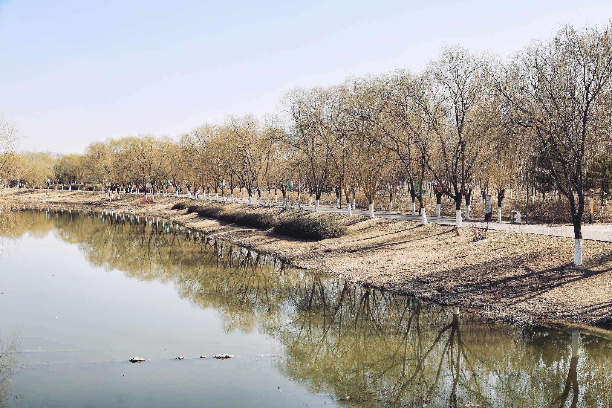 北京春季踏青好去处|大运河森林公园撒个欢