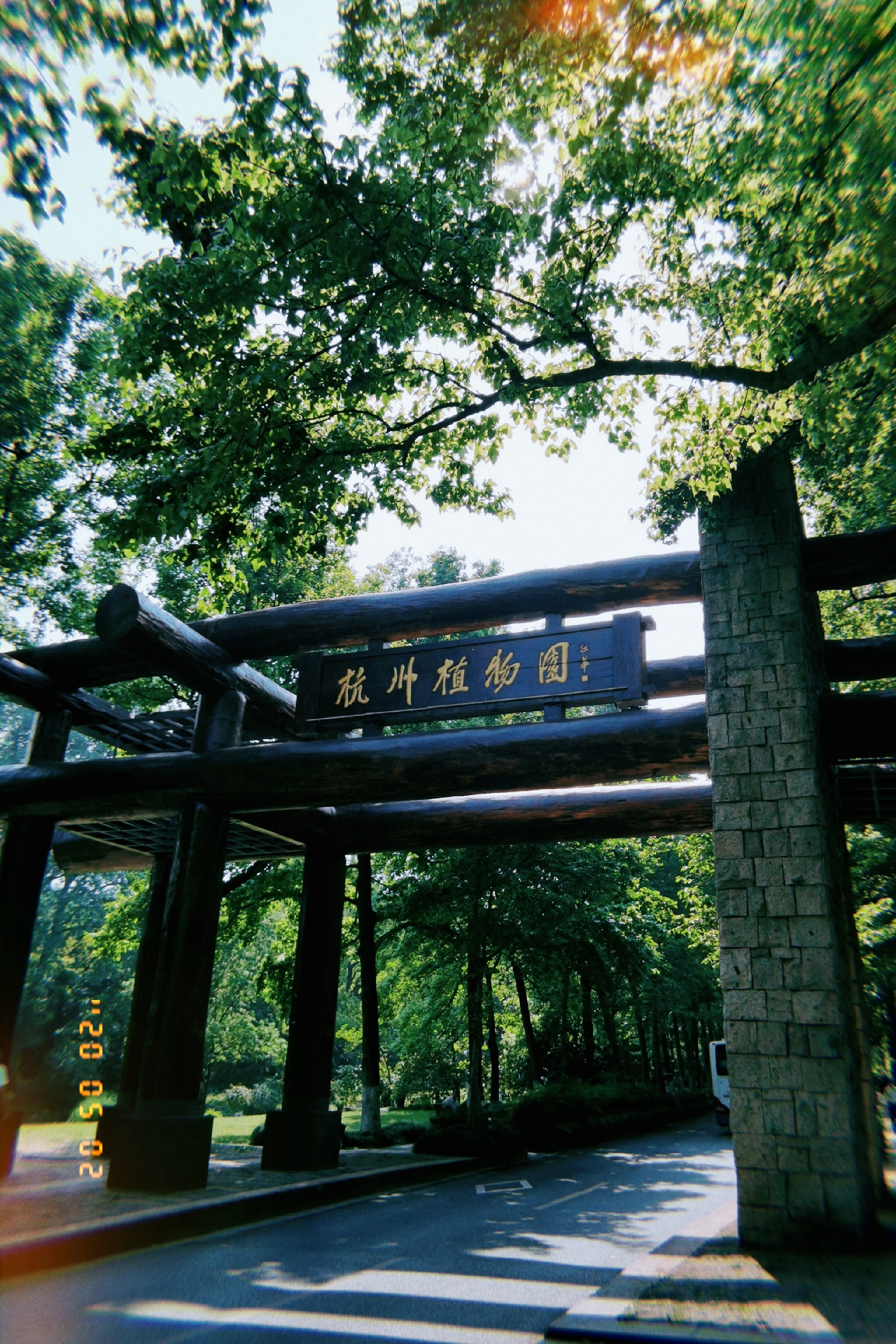 夏日的清凉避暑地——杭州植物园