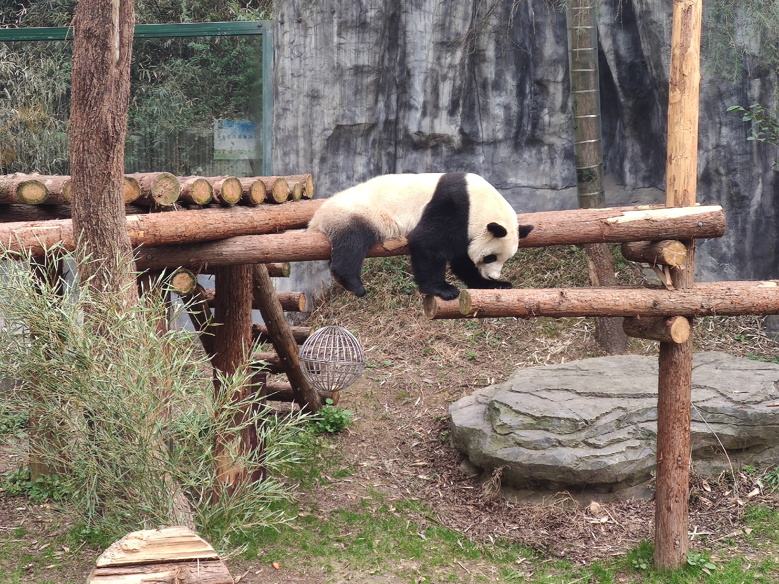 全国最好的公立动物园-南京红山森林动物园