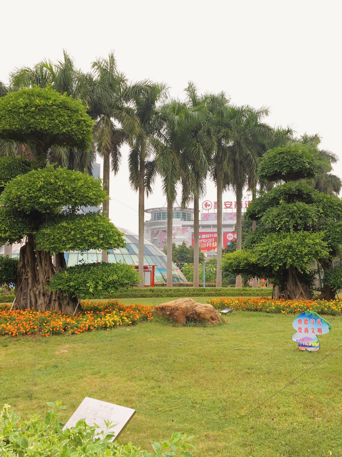 长青公园是北海市区最年轻的一座公园，是以开展纪念性活动为主的综合公园