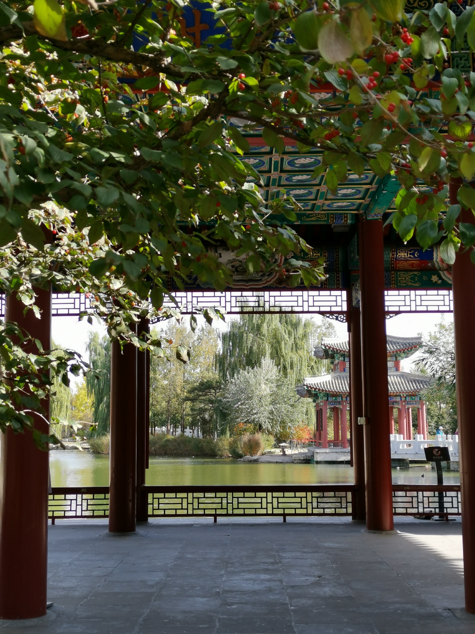 中国园林博物馆-停车场免费，需要关注公众号预约，有室内和室外