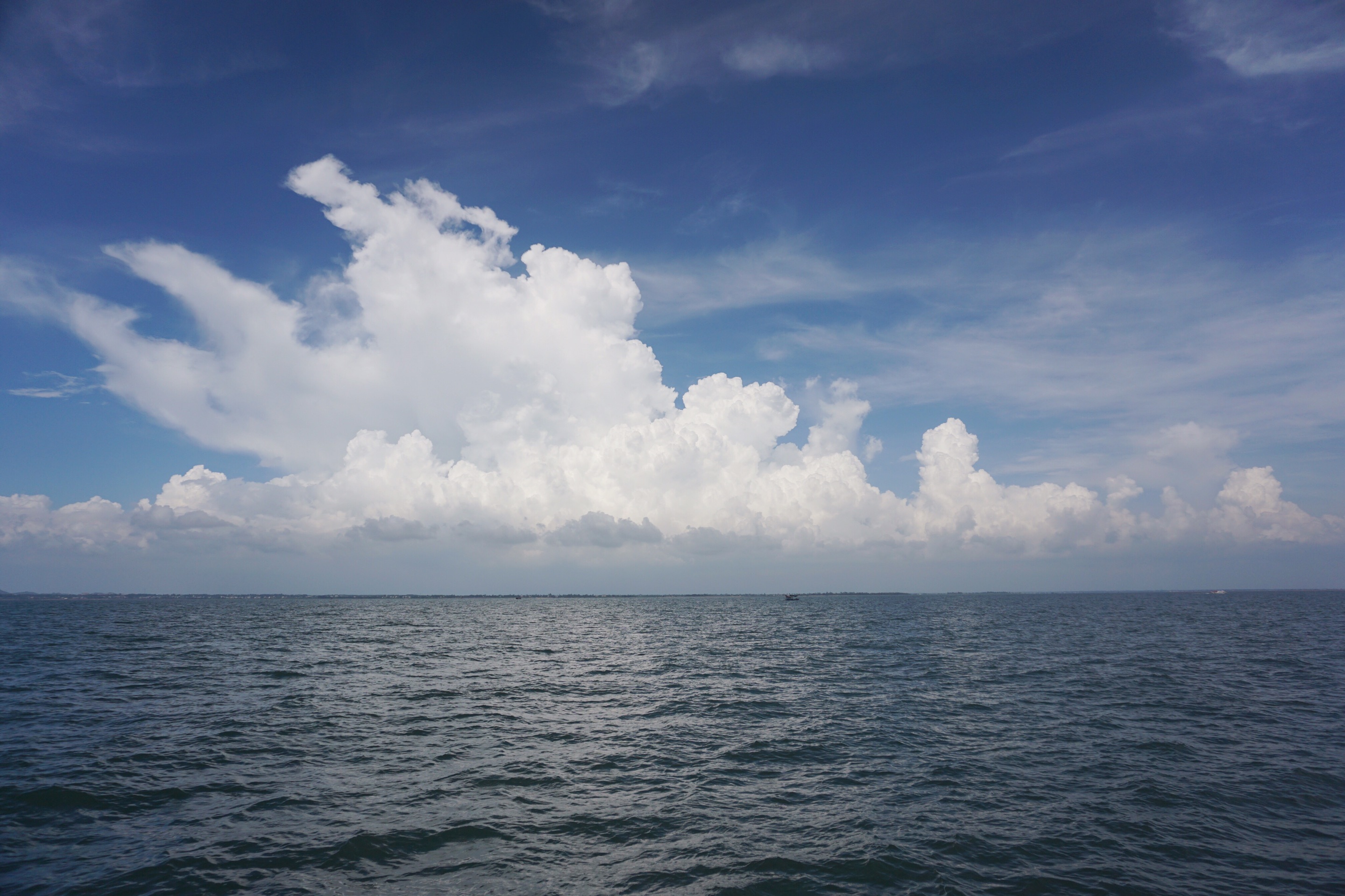 飘扬过海来看你，中华白海豚-广西钦州三娘湾