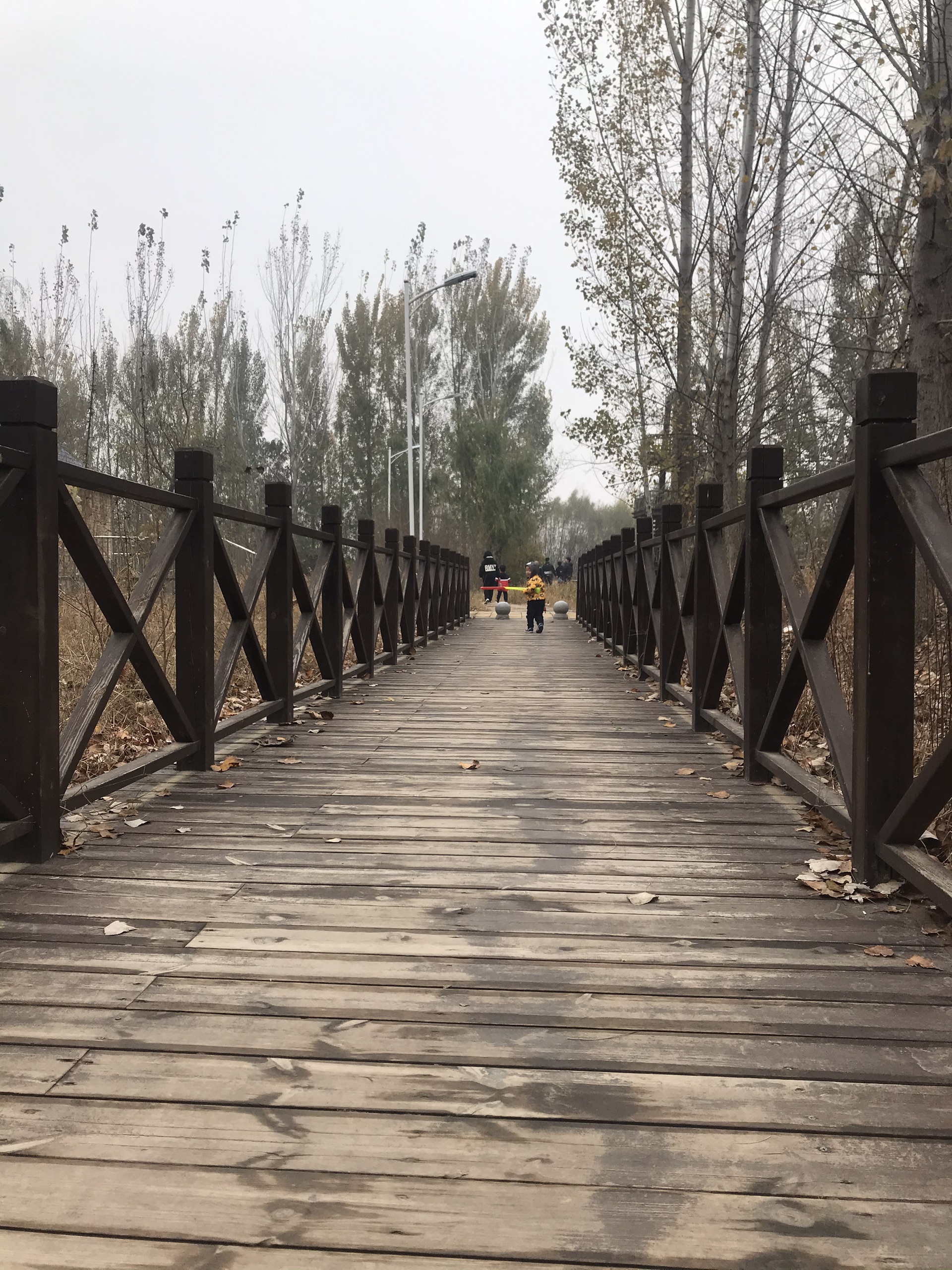 #黄河#郑州黄河国家湿地公园