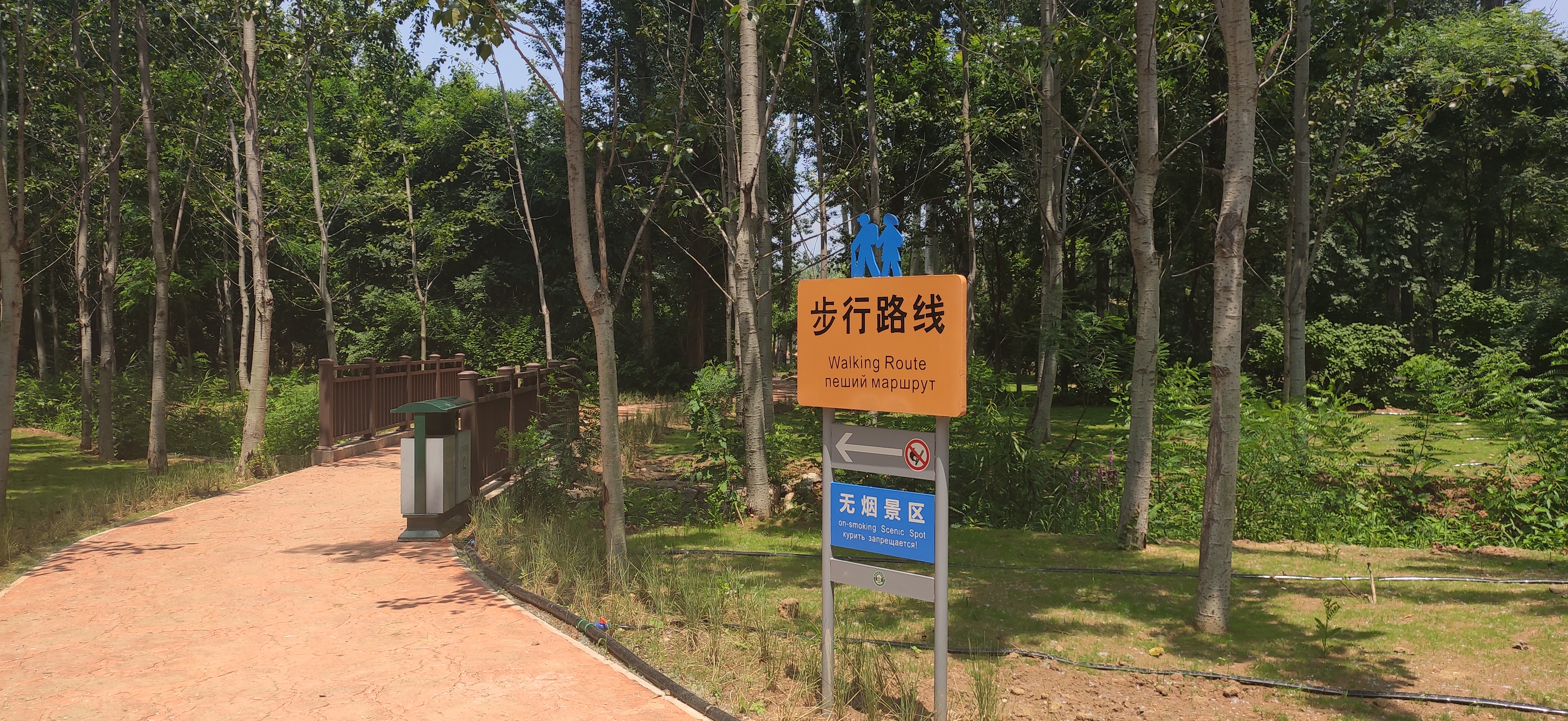 秦皇岛野生动物园2020715正式对外开发进园可以开车自驾游