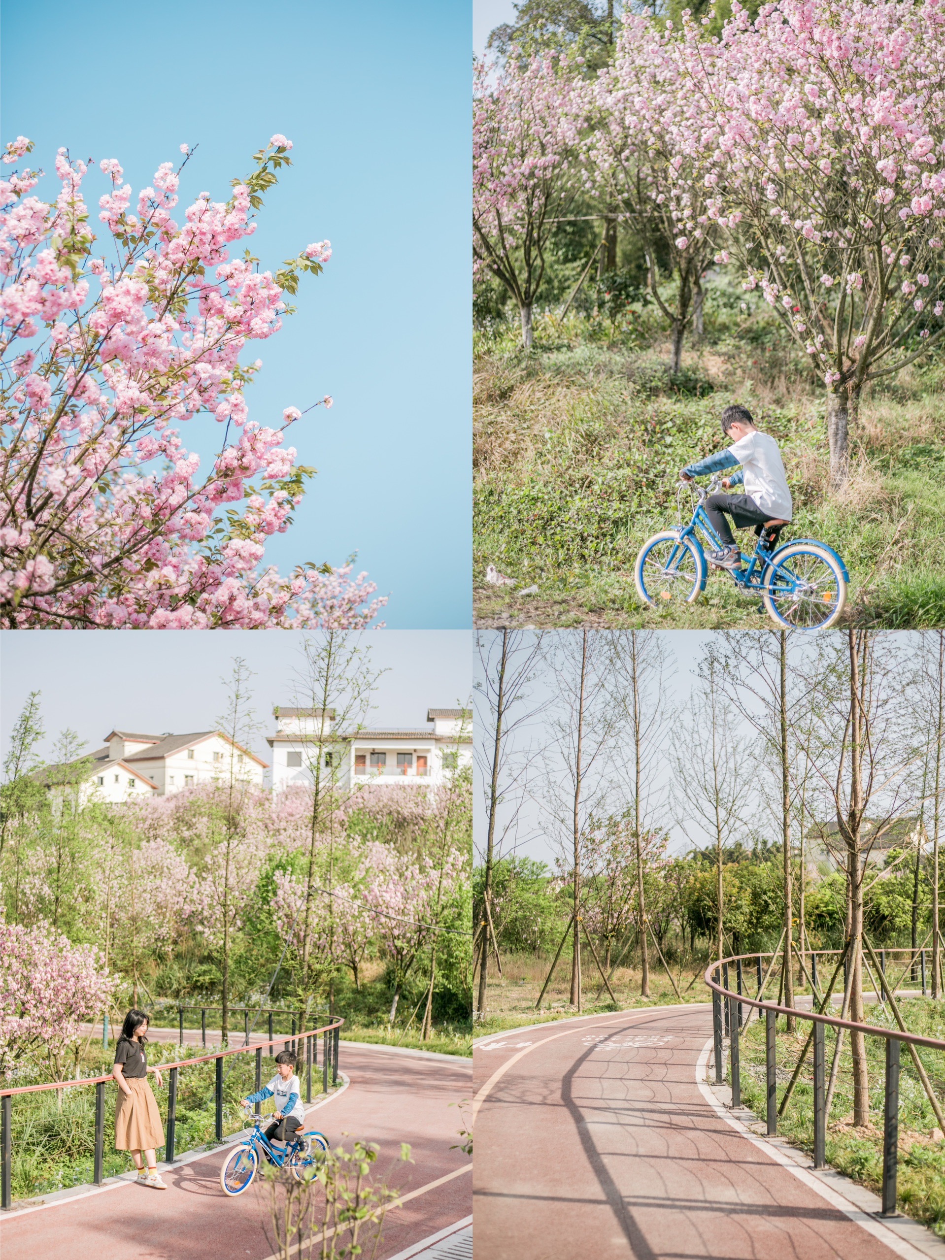 重庆周末亲子游推荐地•这个免费亲子自行车道开满鲜花