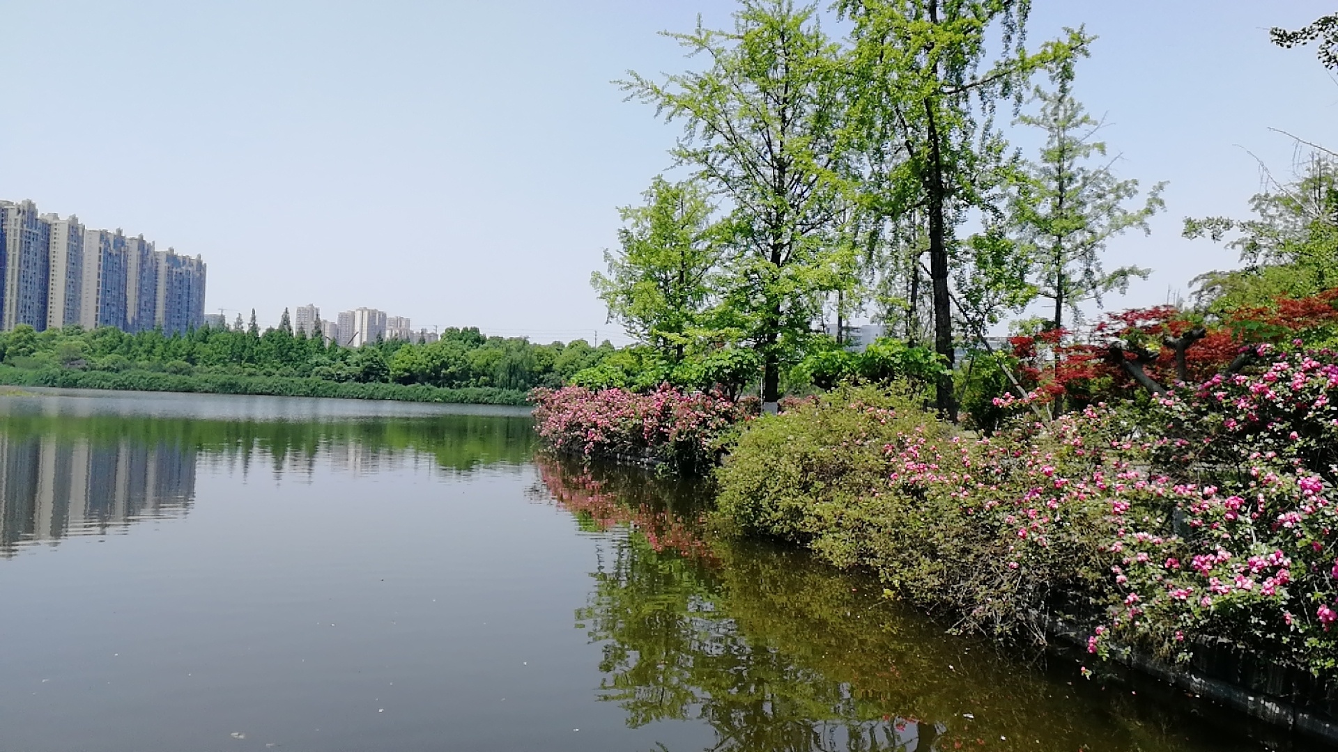 成都公园寻春周末好去处结婚照拍摄地_青龙湖湿地公园
