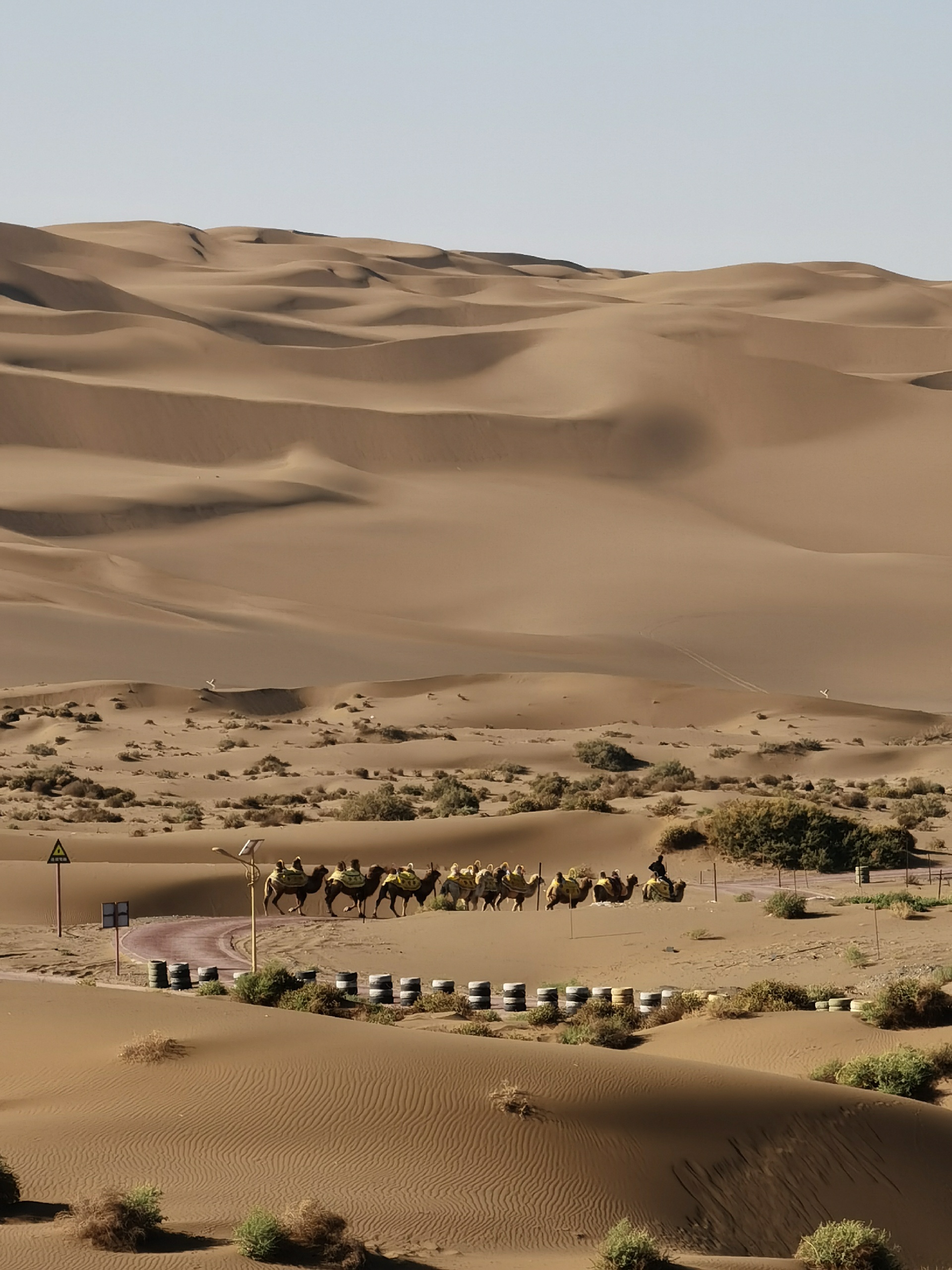 大假出去浪吧-新疆库木塔格沙漠风景名胜区汽车露营地
