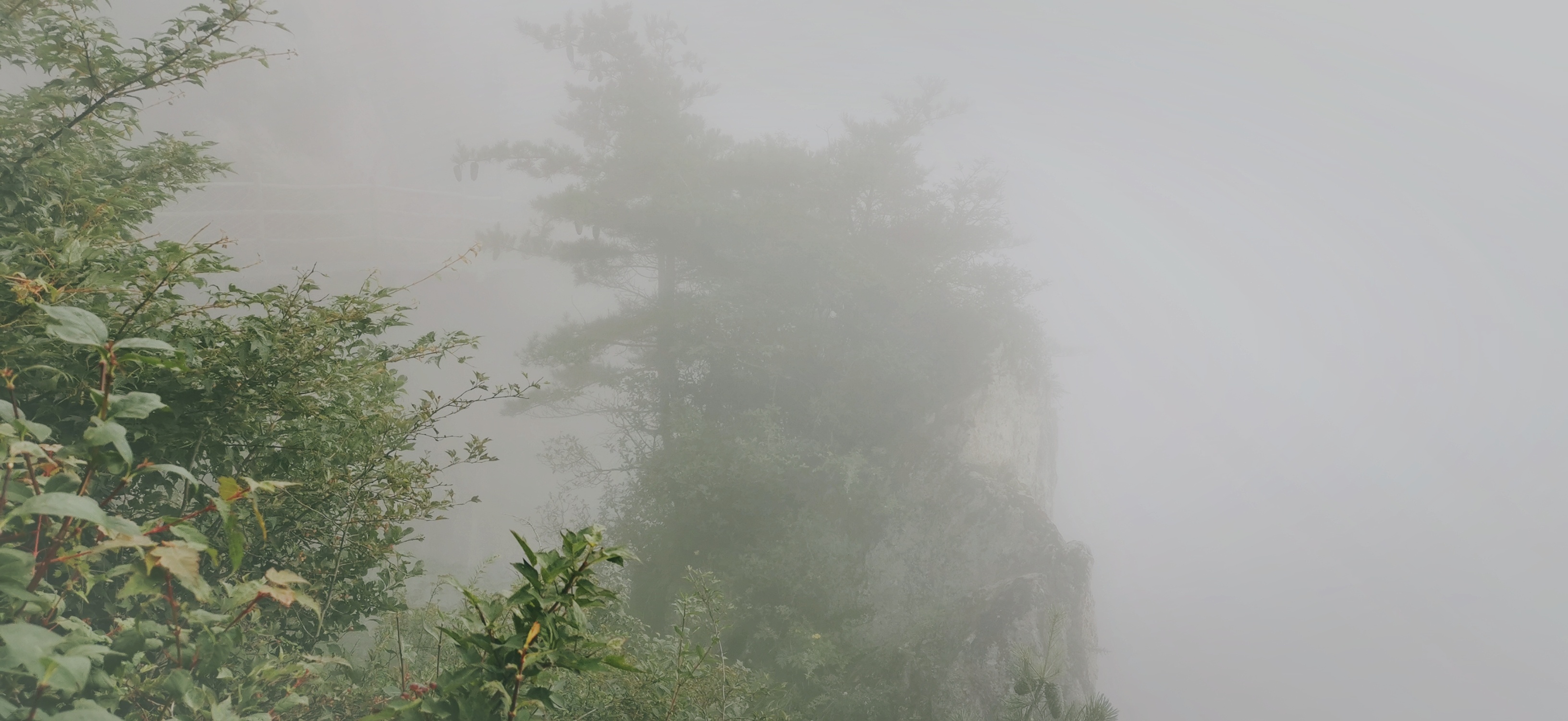 老君山一日游！景区是挺好的，就是太大雾了看不到远景