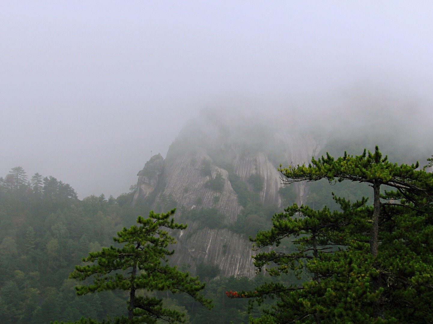 木王国家森林公园为国家AAAA级旅游景区