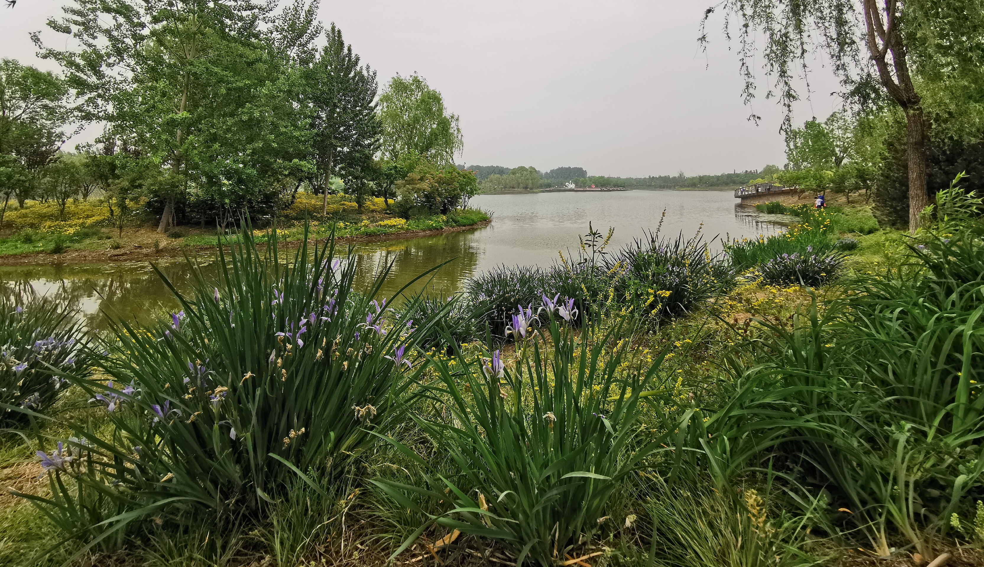 东郊湿地公园-北京市通州、顺义、朝阳三区交界地带