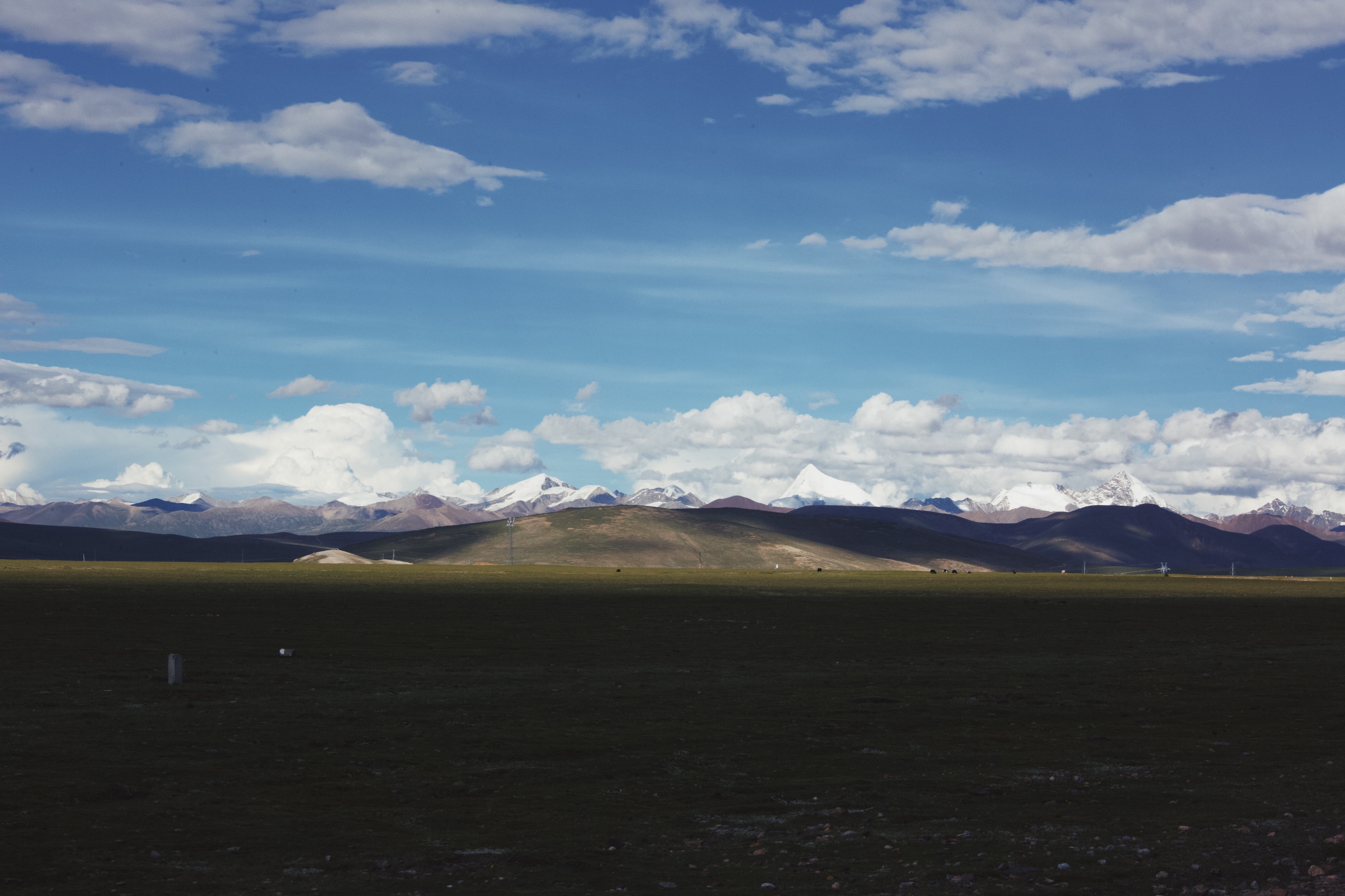 纳木错_湖水，雪山，海鸥，路上的羊群，西藏是真的是会上瘾
