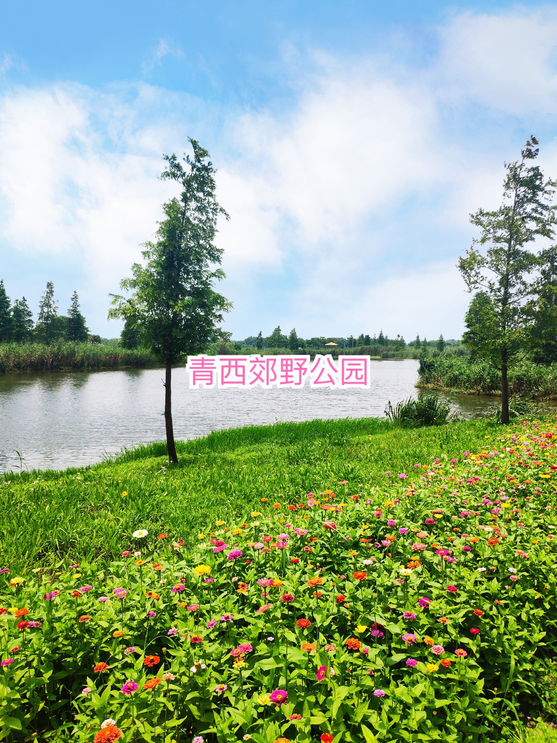 上海生态保护最好的公园之一_青西郊野公园