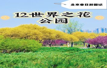 北京春日游园记 12｜世界之花公园