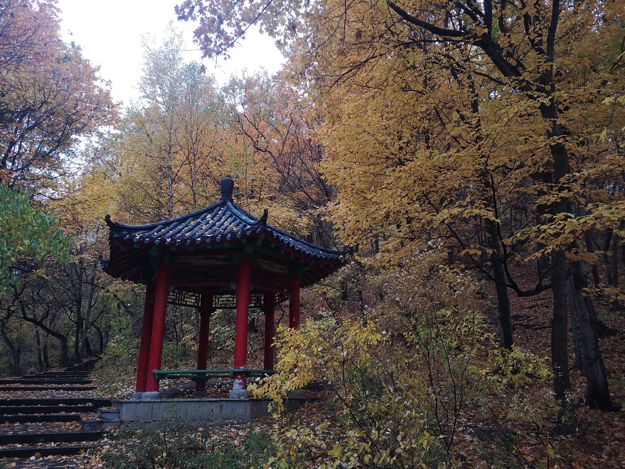 吉林市最方便的赏秋之地-龙潭山遗址公园