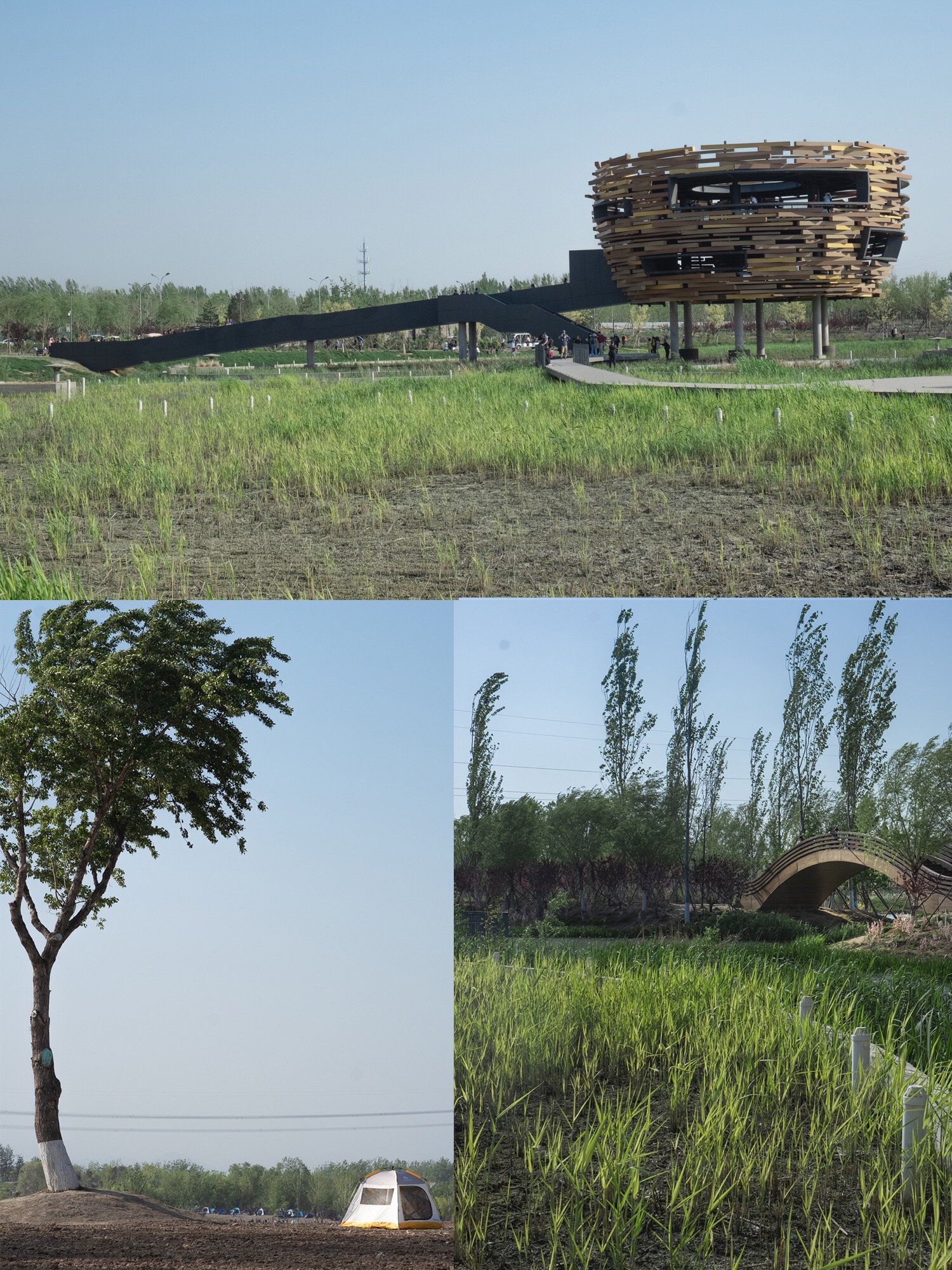 北京温榆河公园——​周末来露营的人很多公园里有大片可以搭帐篷的区域，有临水的区域，有洼地区域
