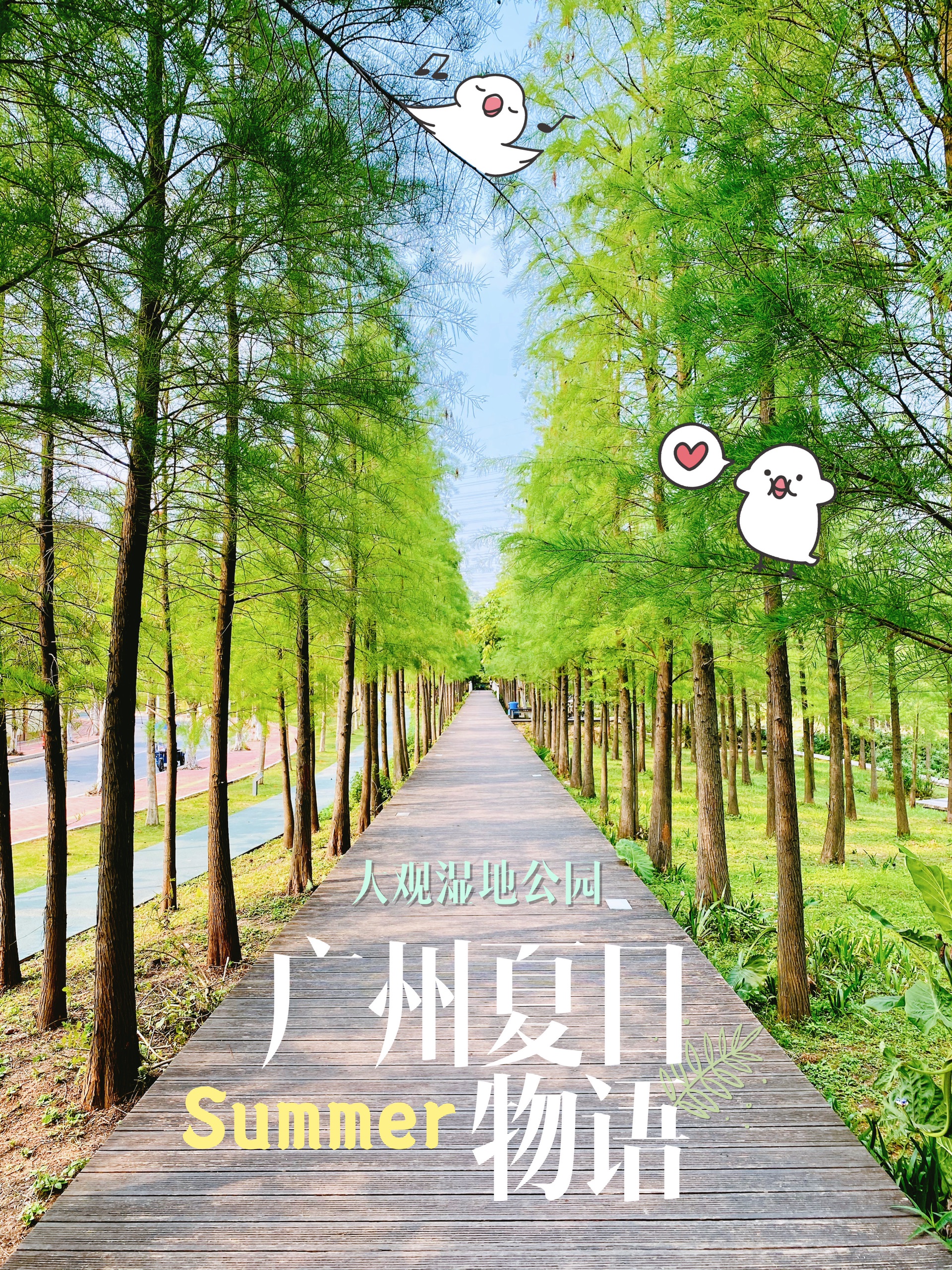 广州新晋网红公园｜原生态的大观湿地