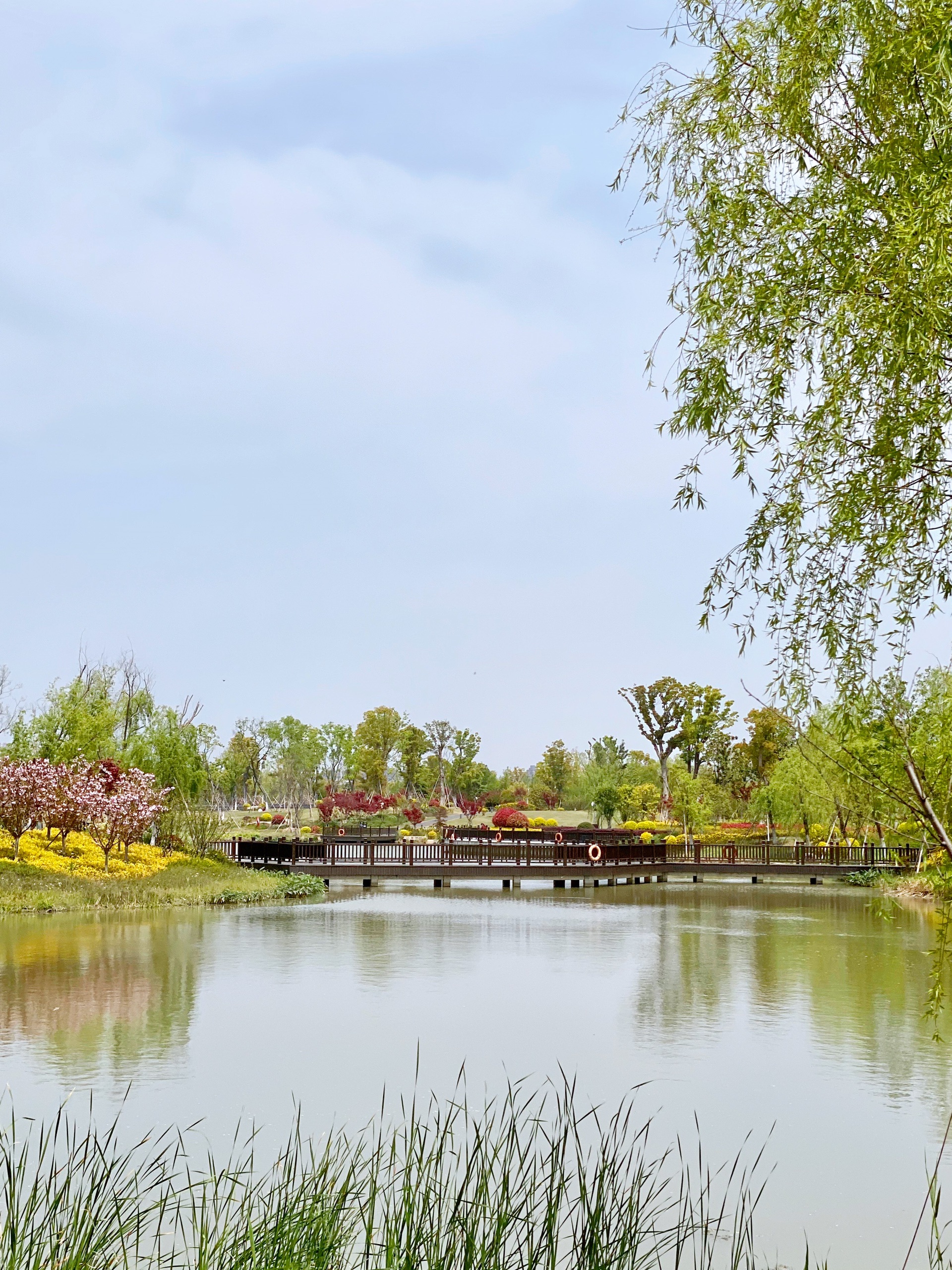 上海周边哪里好玩？来九科绿洲公园这个适合散步的静怡公园