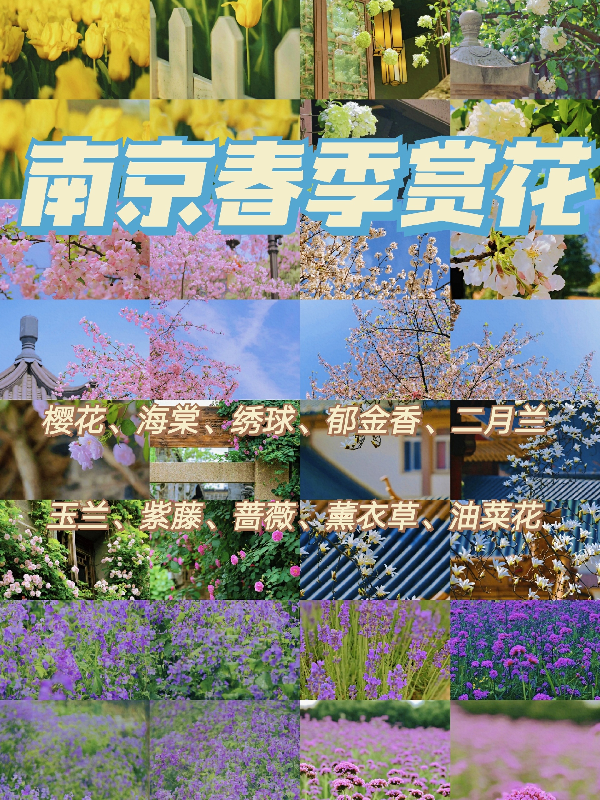 南京赏花攻略|春季赏花地图路线指南！