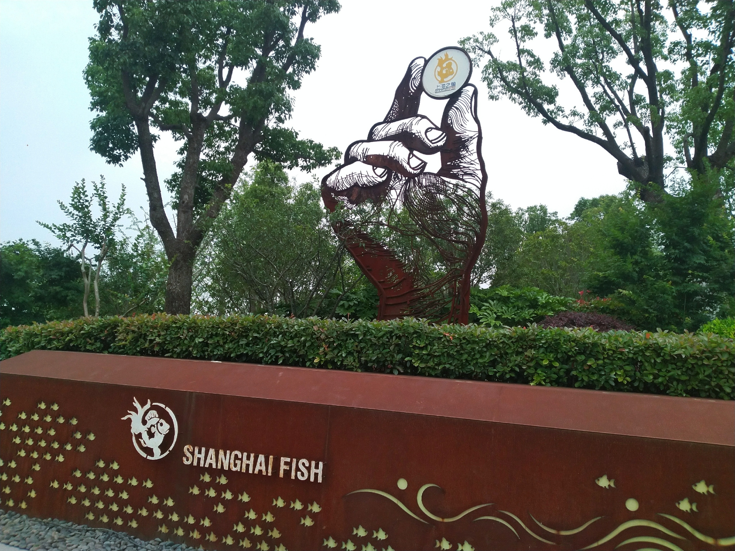打卡上海之鱼——年丰公园 附2020最新公园图片
