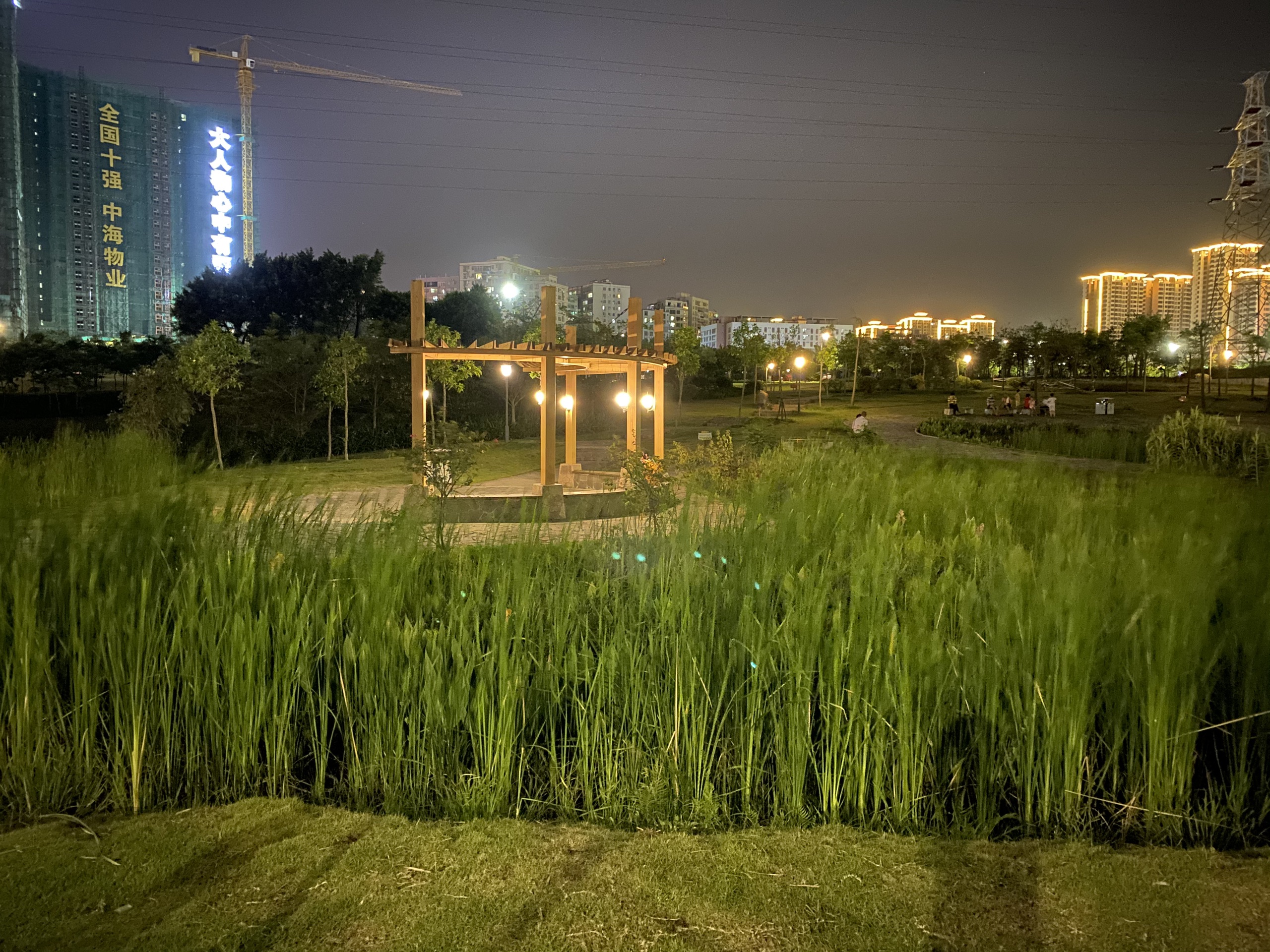 夜幕下的银帆公园_2020湛江银帆公园夜景图片