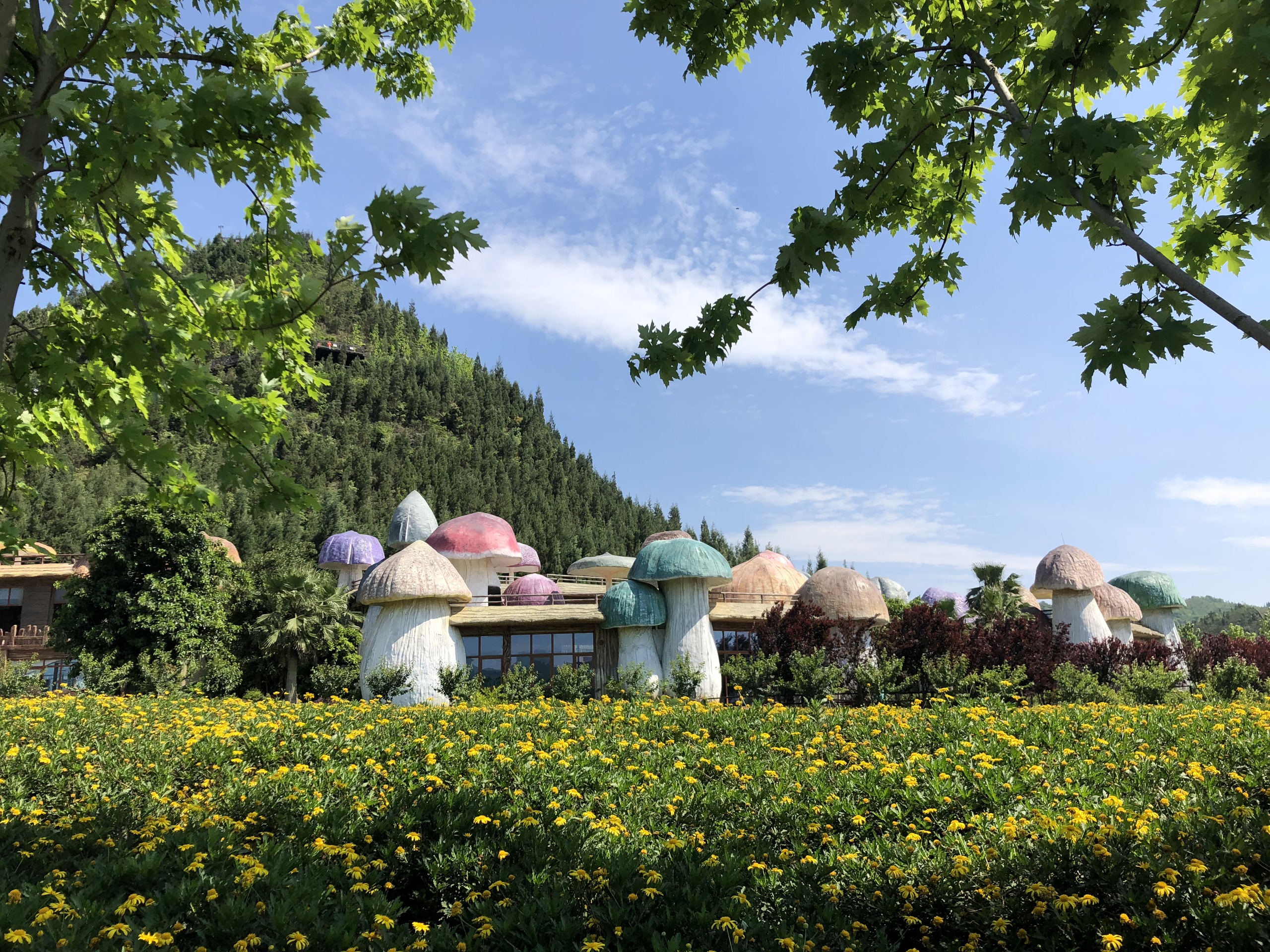 贵州醇-贵州醇景区图片-2020最新贵州醇蘑菇屋图片