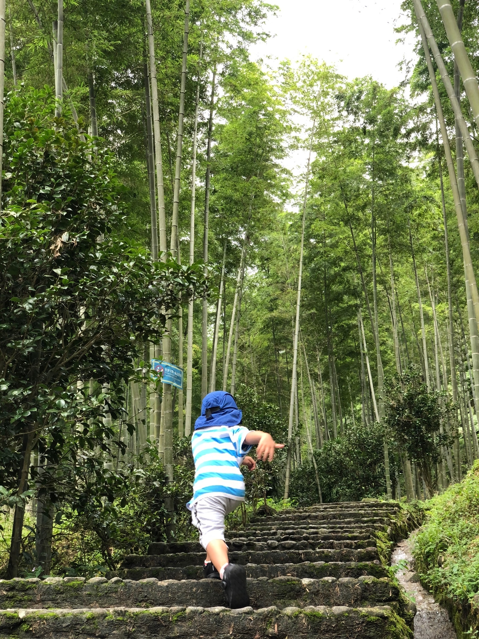 桂林的小九寨沟。除了阳朔，在桂林猫儿山还有这一处夏日避暑圣地
