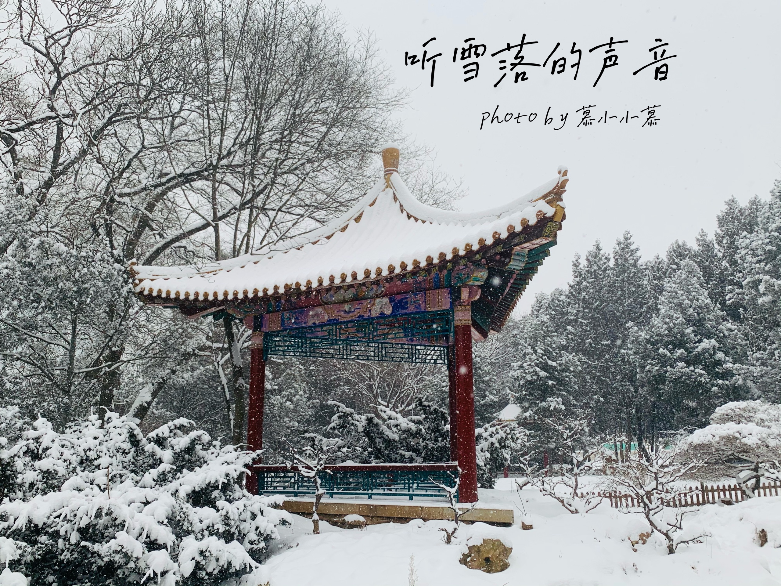 辽宁大连市劳动公园今天～心血来潮～～去拍拍雪景吧