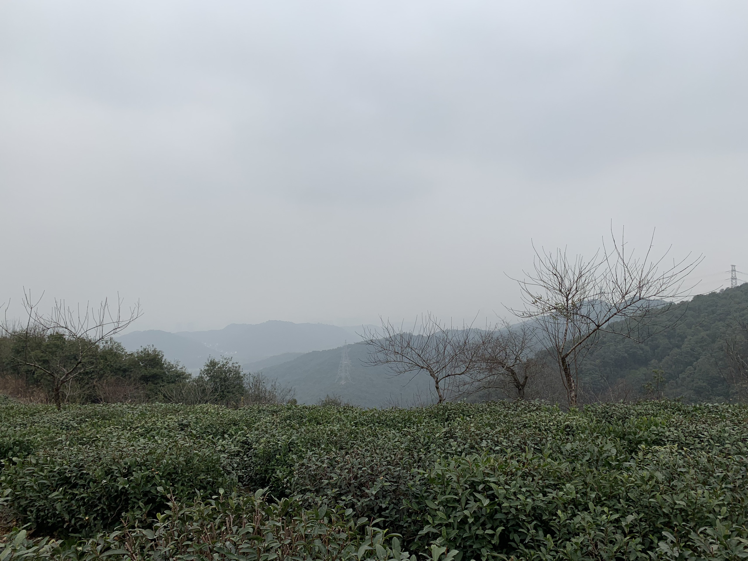 石岩山先照寺，俯瞰湘湖最好的地方，可惜天气略不给力