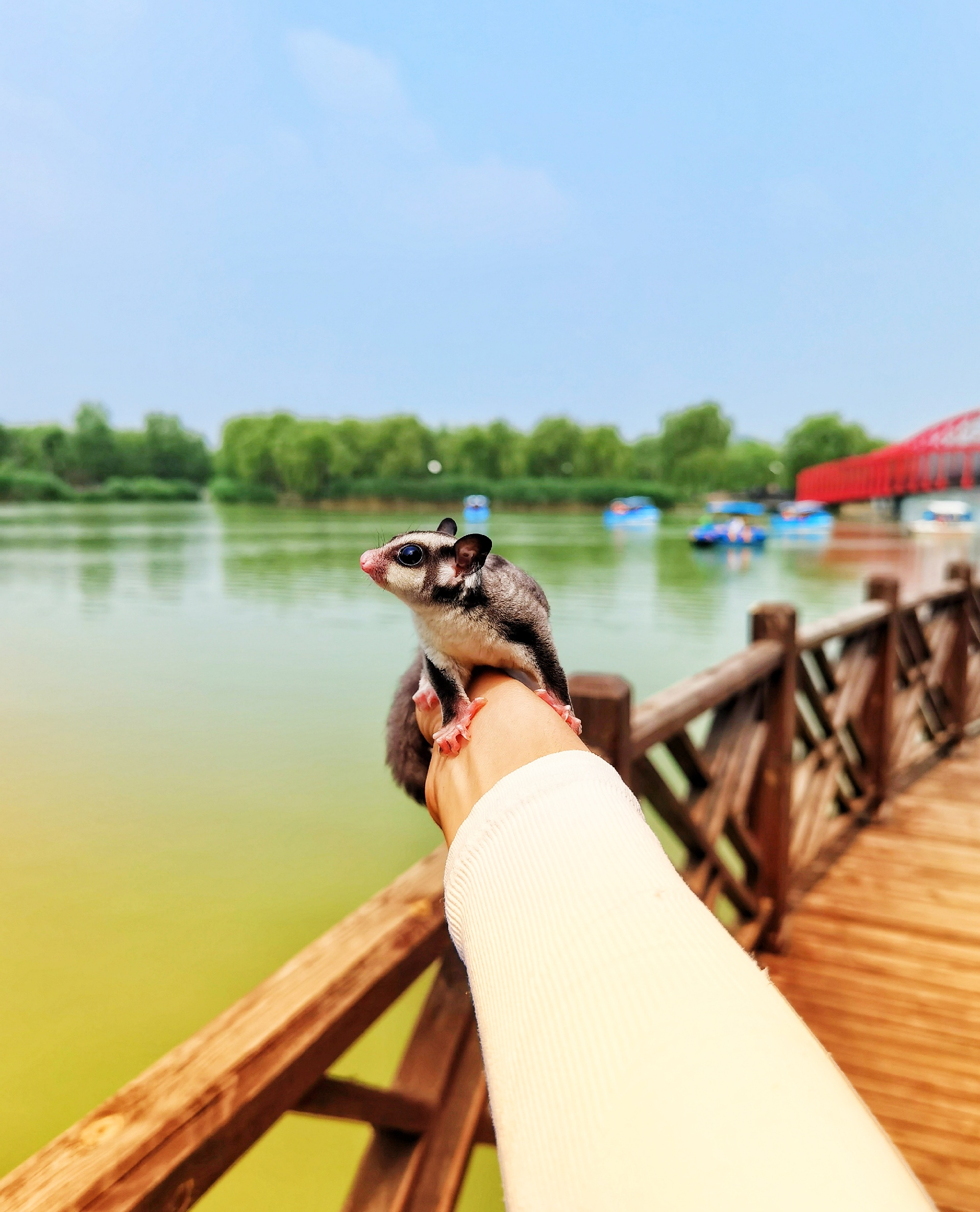 北京哪里好玩？京城小众宝藏公园之台湖公园