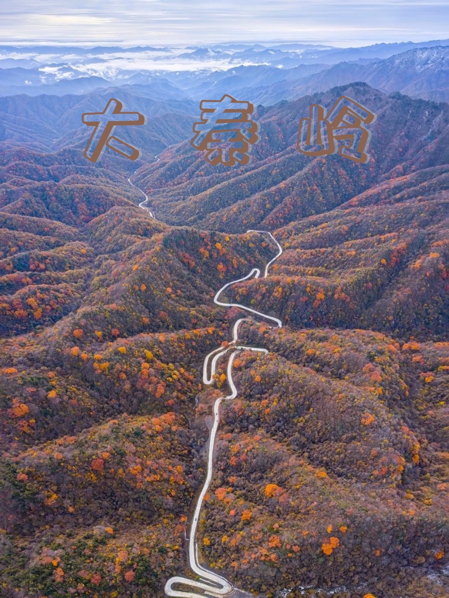 西安自驾4小时，秦岭最美景观大道，一年只27天