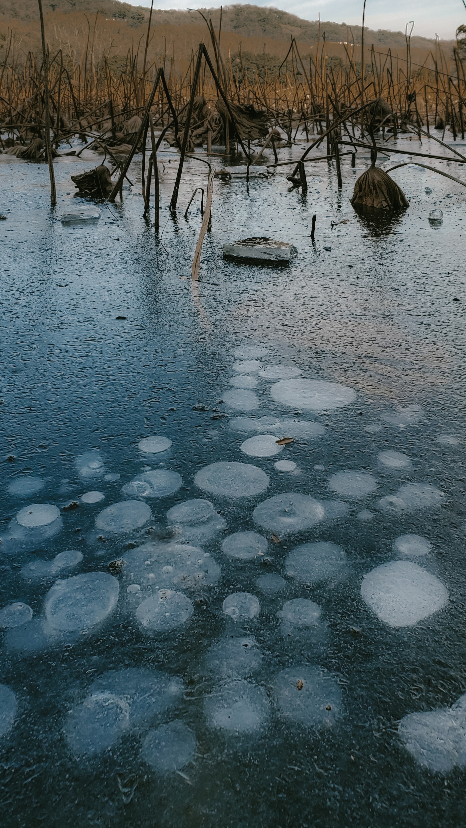 杭州也有贝加尔湖冰泡啦 冬季西湖赏冰之旅