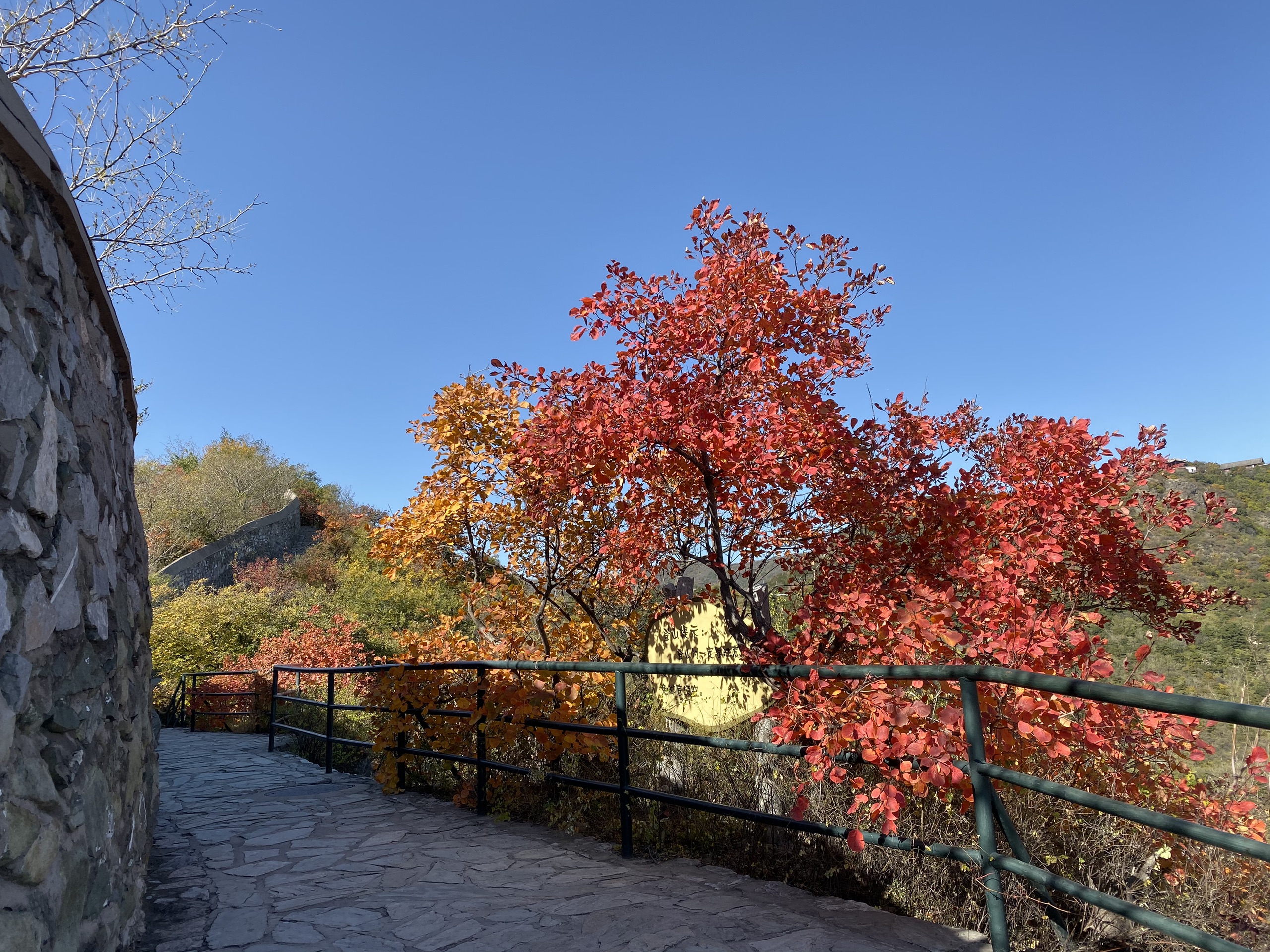 香山公园的名气已经大过它的美了 每年秋天前往香山观赏的人络绎不绝