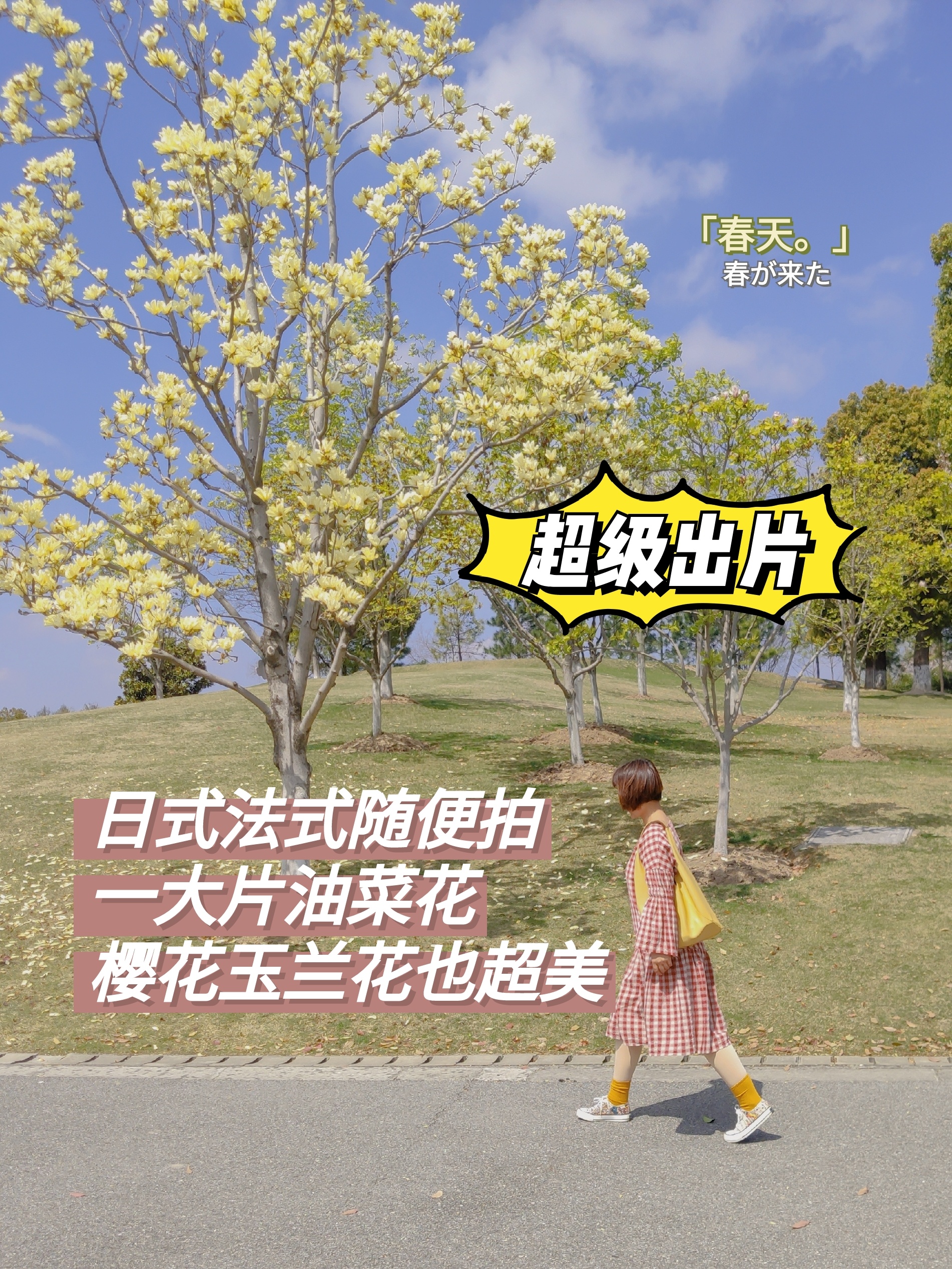 上海闵行文化公园绝美油菜花樱花！小众拍照打卡日系法式