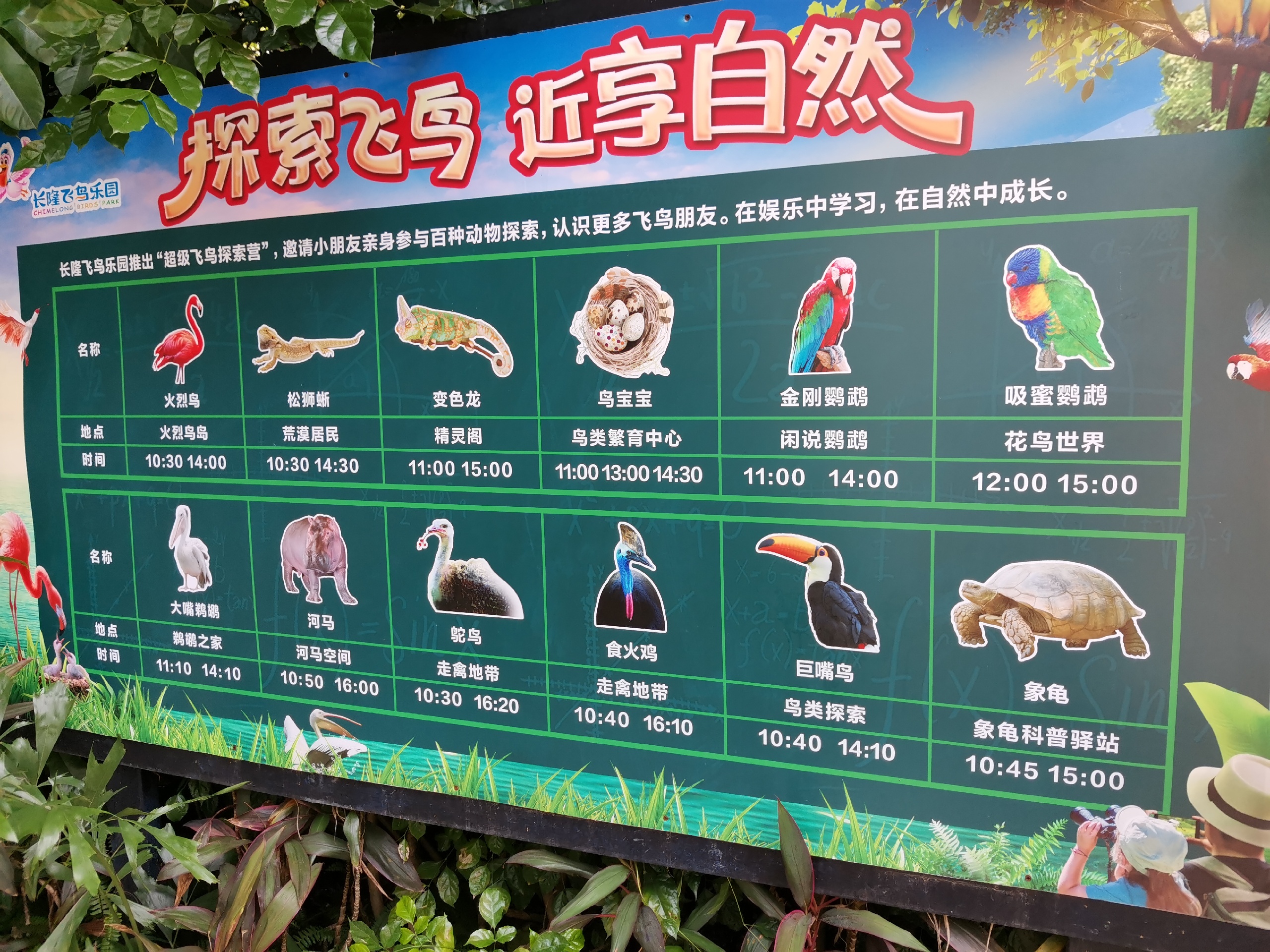 广州亲子游必选之一——长隆飞鸟乐园